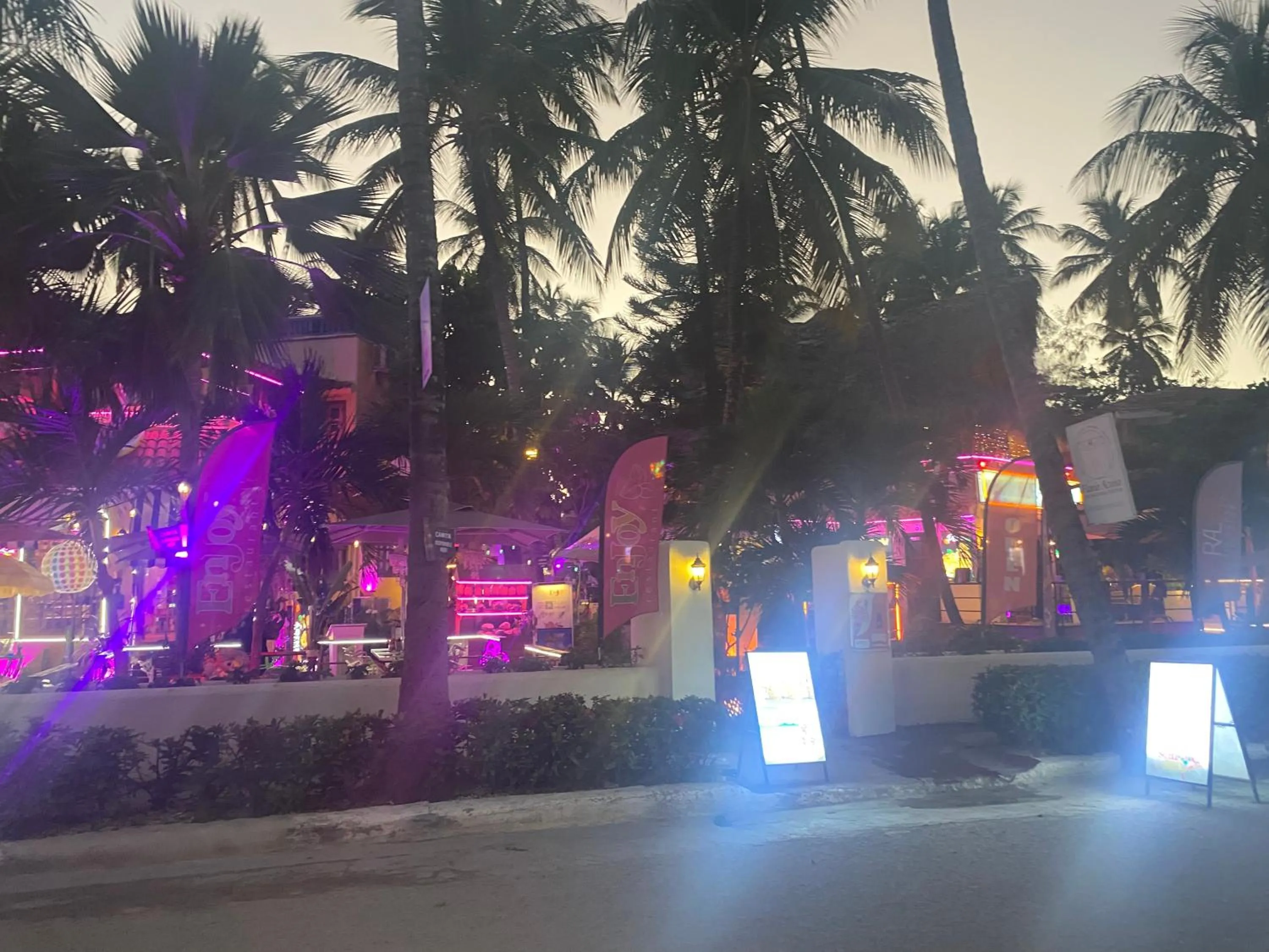 Night in Hotel Las Rosas de Punta Cana