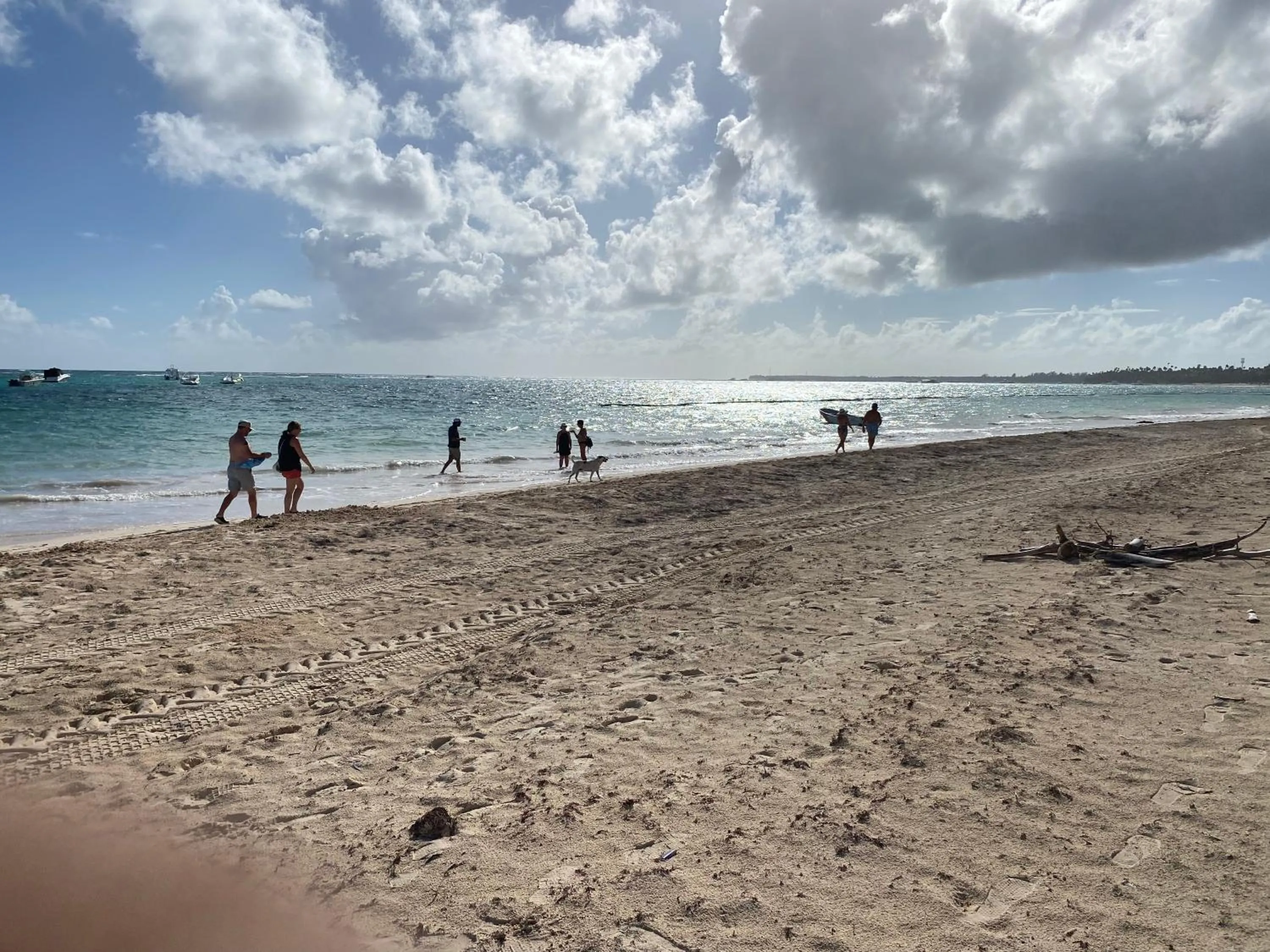 Hotel Las Rosas de Punta Cana