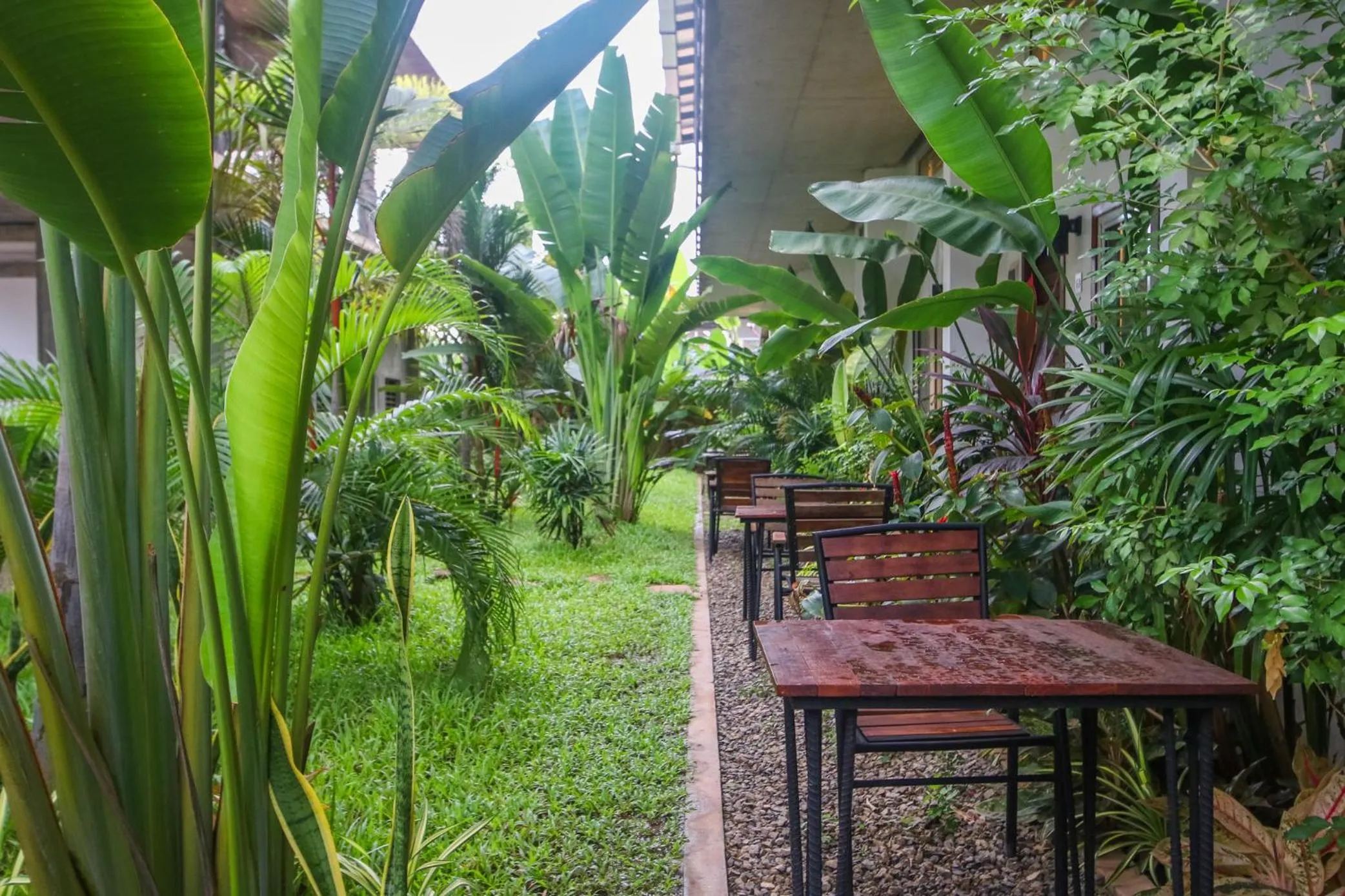 Day in Phan NaTa Apartment