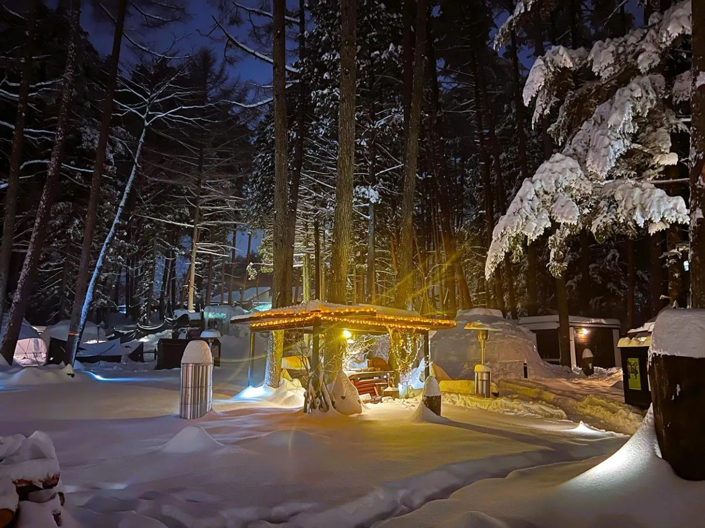 Lounge or bar in HANZ OUTDOOR RESORT -formerly GLAMPING VILLA HANZ KAWAGUCHIKO