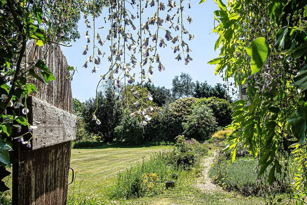 Garden in Cosy Wolf Bed & Breakfast