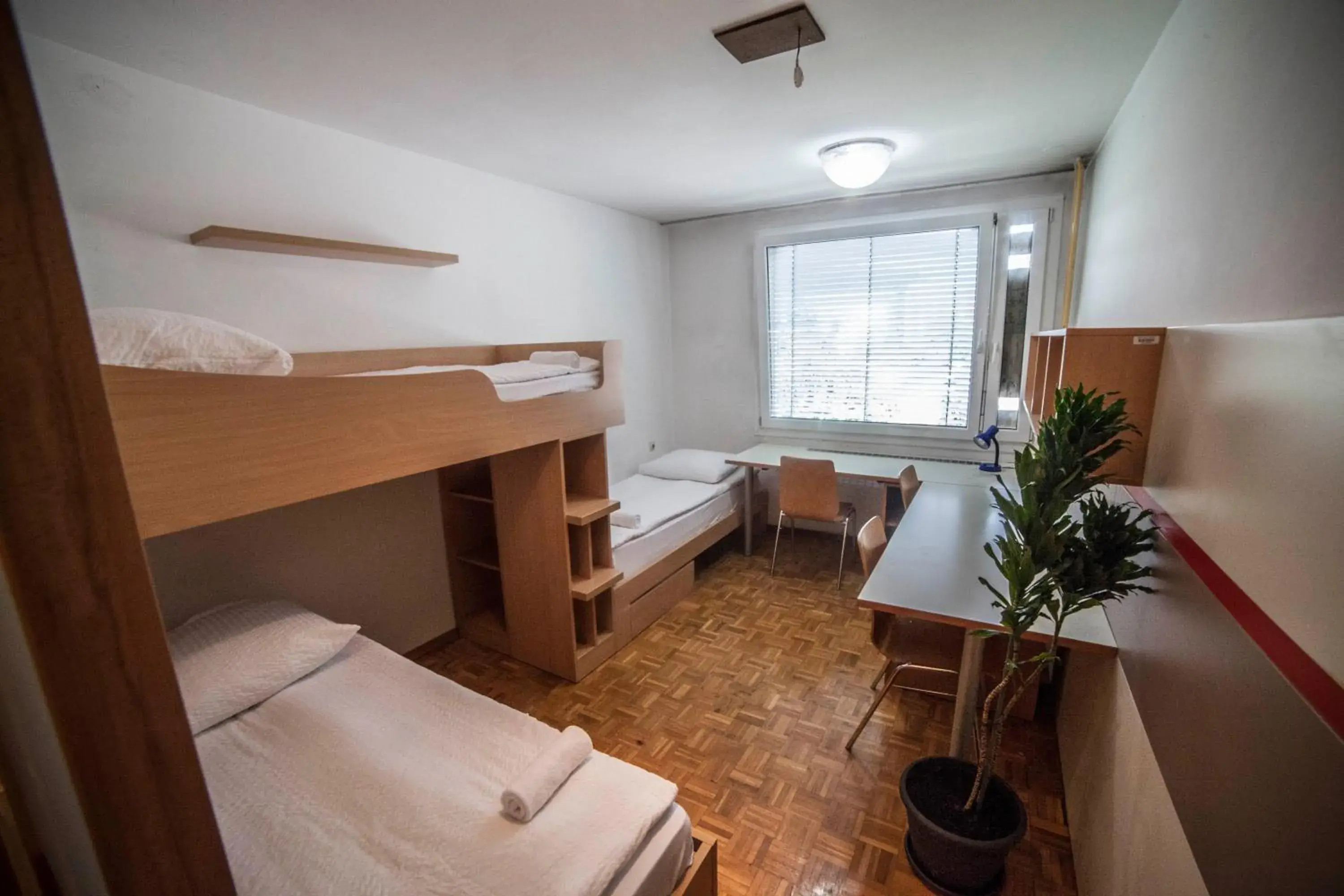 Hostel DIC Hostel DIC