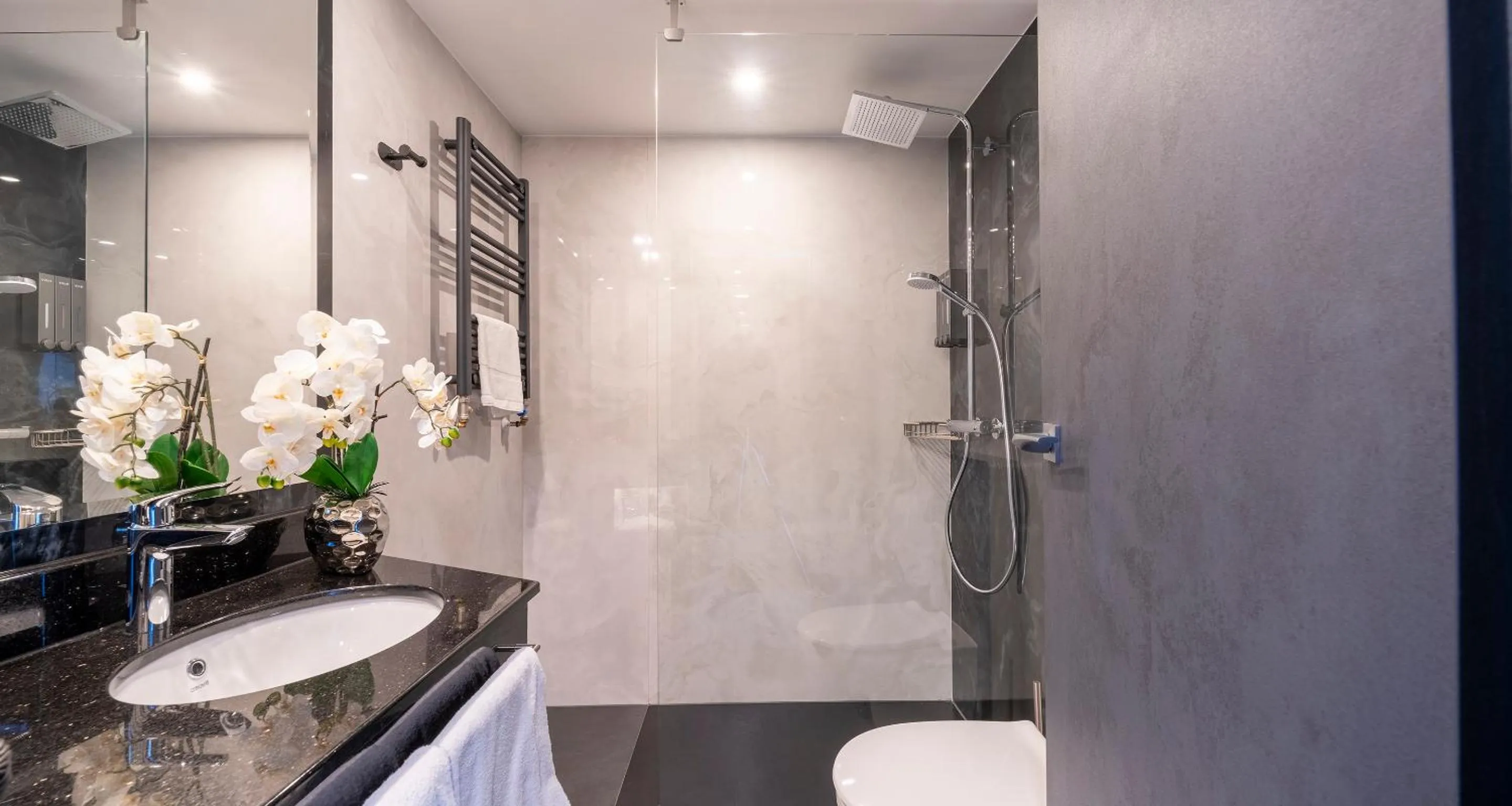 Shower in PLAZA Hotel Bruchsal