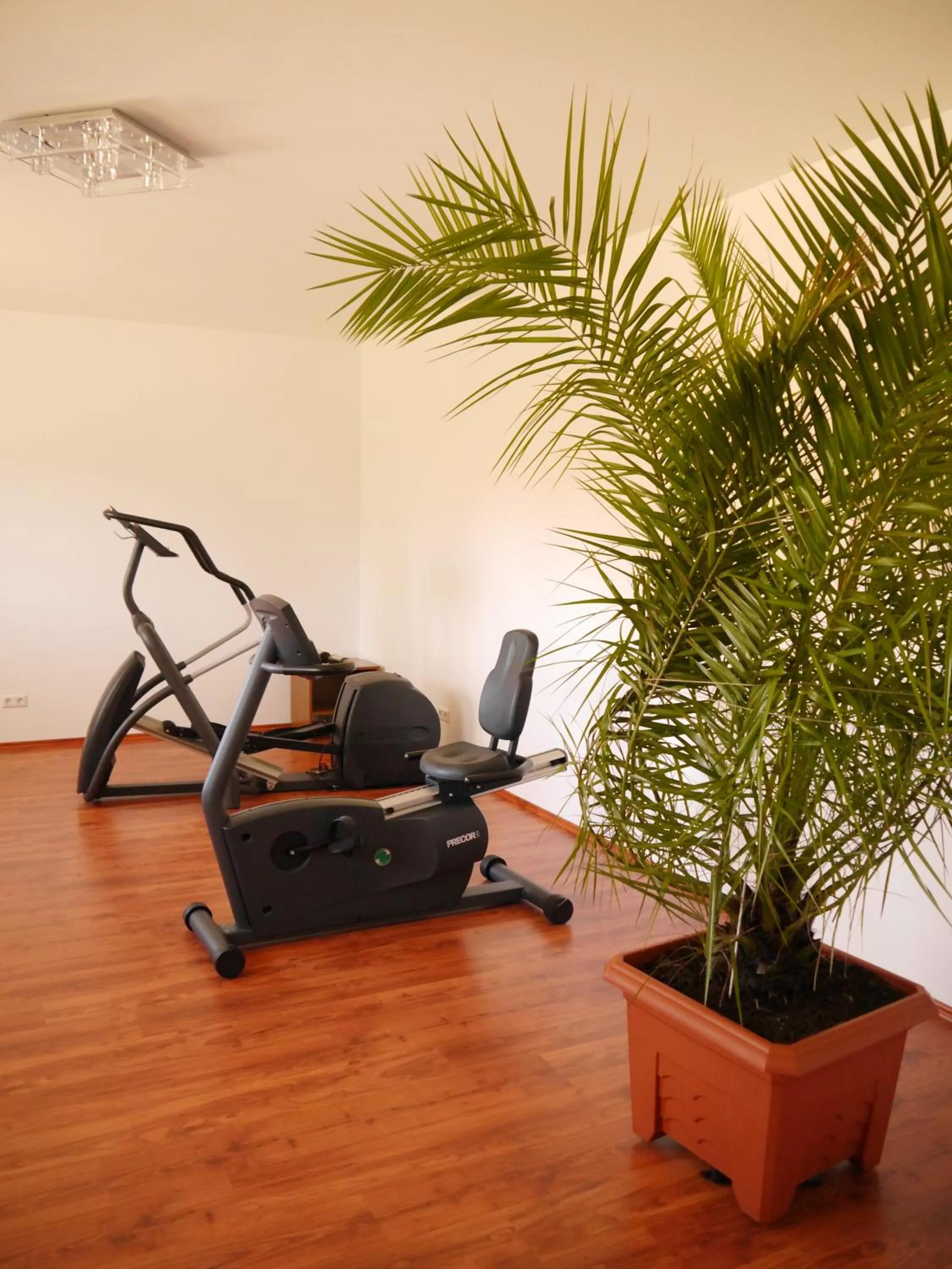 Fitness centre/facilities in Hotel & Restaurant Lindengarten