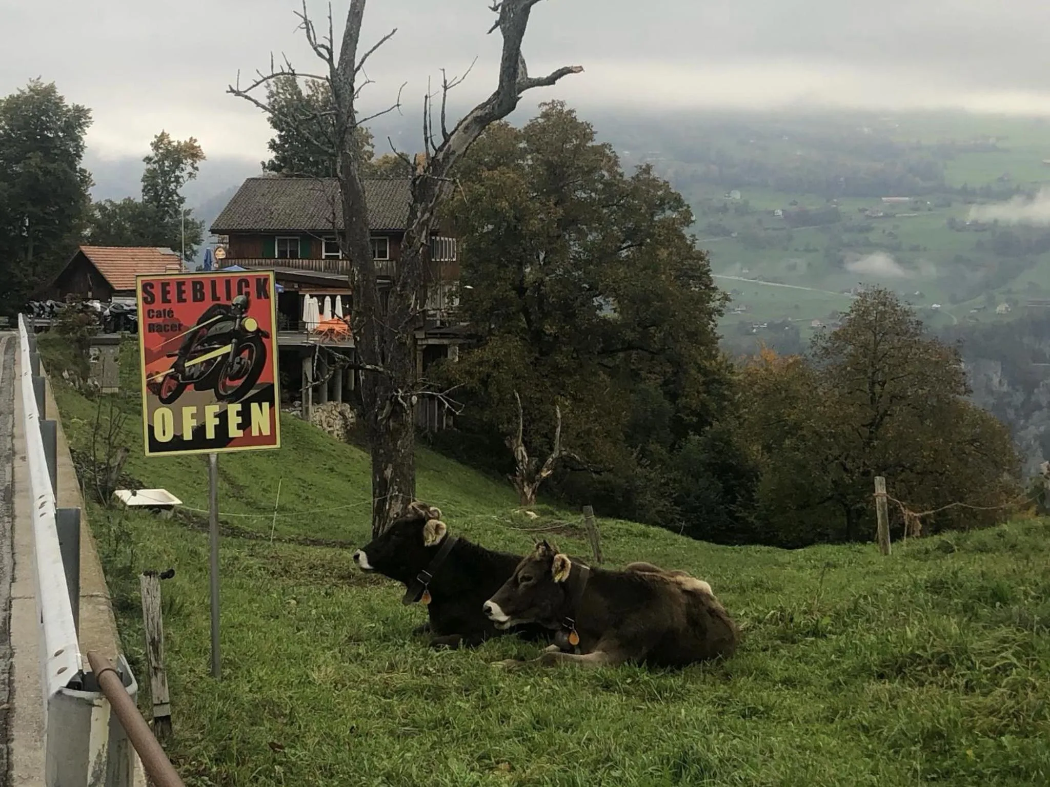 Natural landscape in Hotel Cafe Seeblick