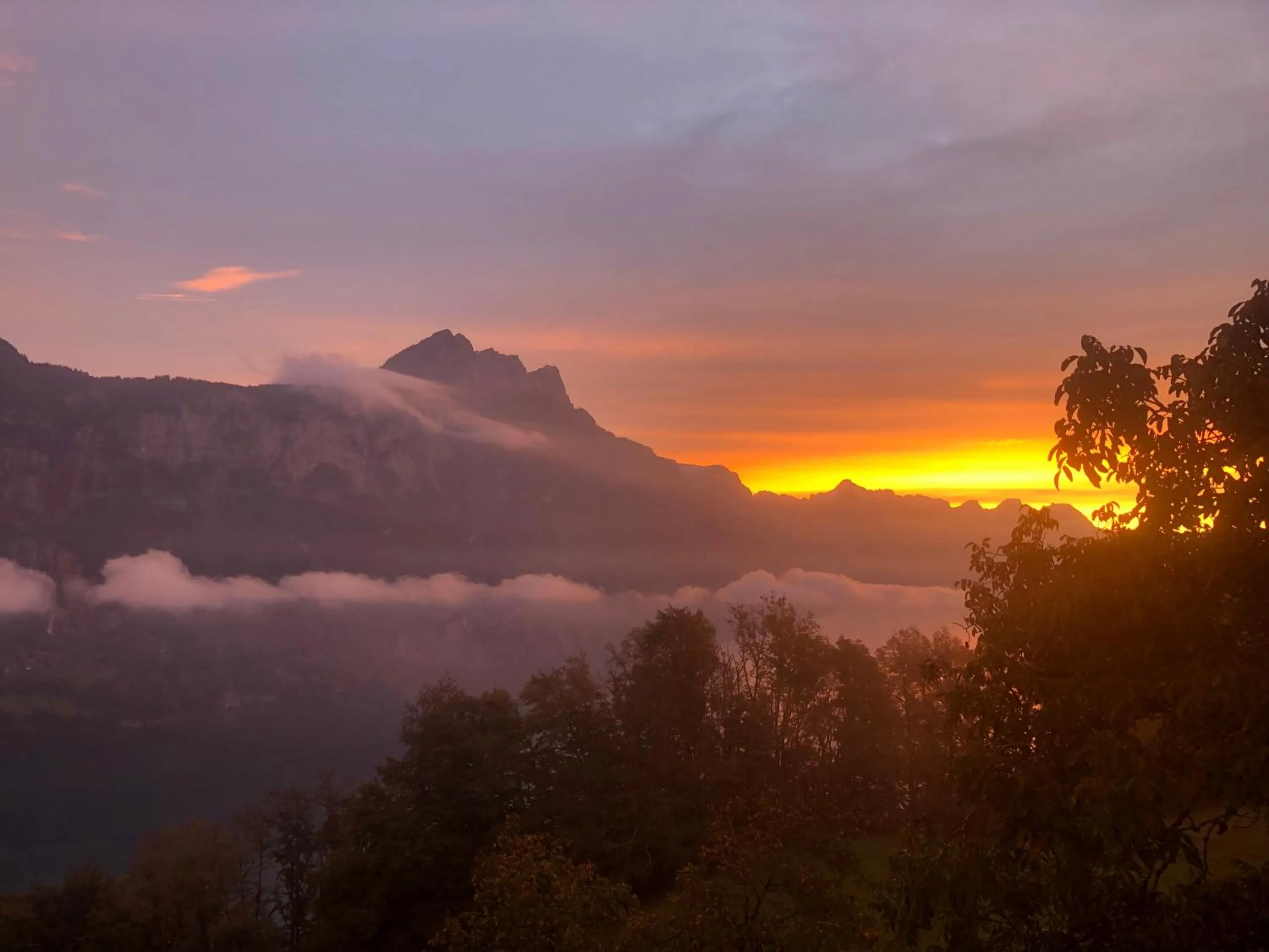 Natural landscape in Hotel Cafe Seeblick