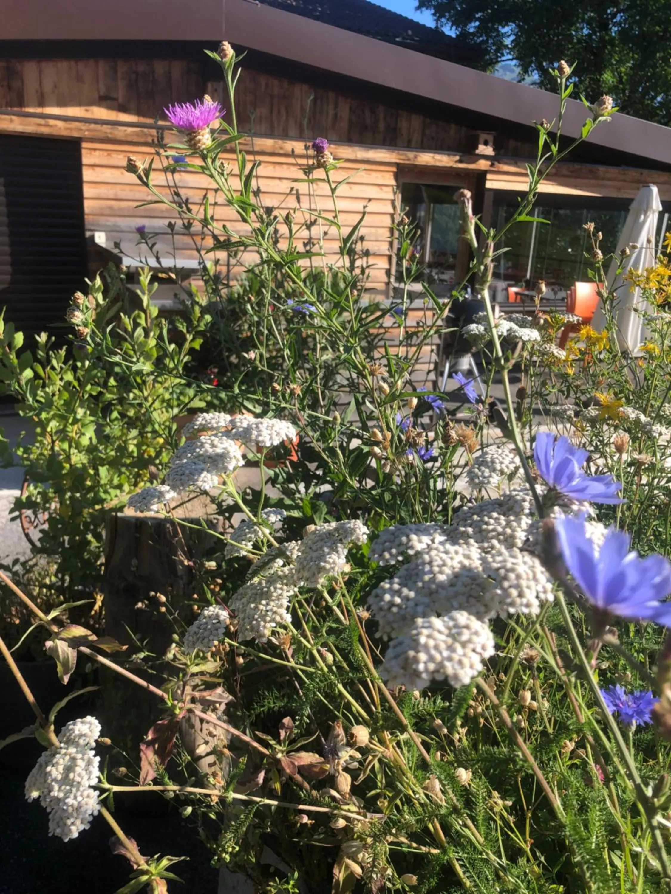 Spring in Hotel Cafe Seeblick