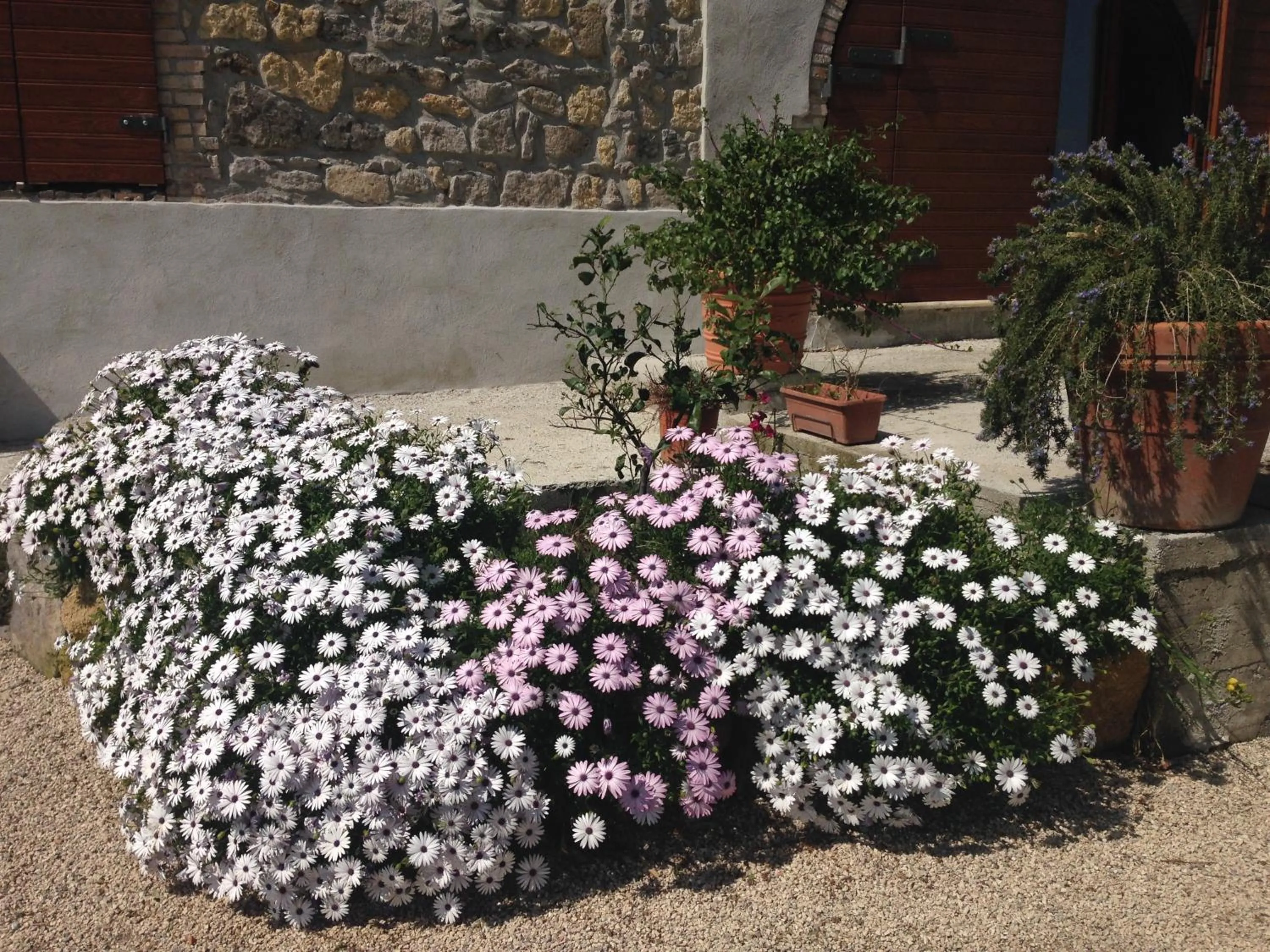 Garden in Locanda Villa Naumanni