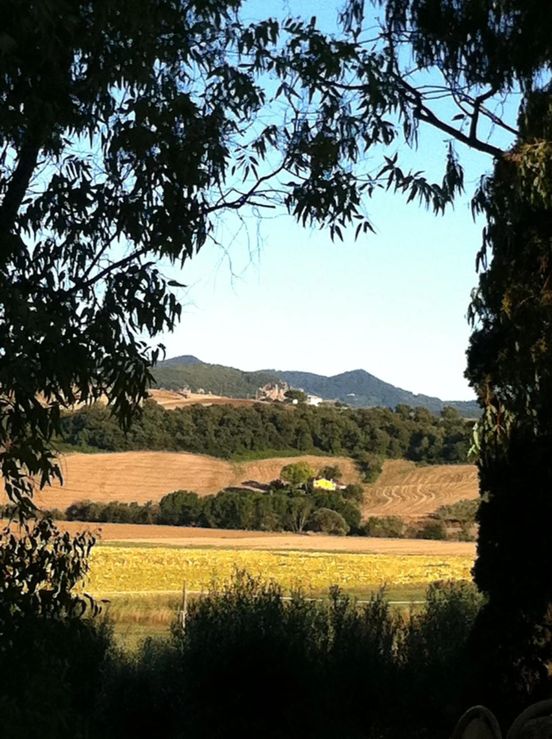 View (from property/room) in Locanda Villa Naumanni