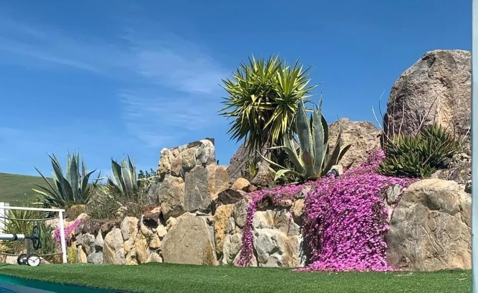 Garden in Locanda Villa Naumanni