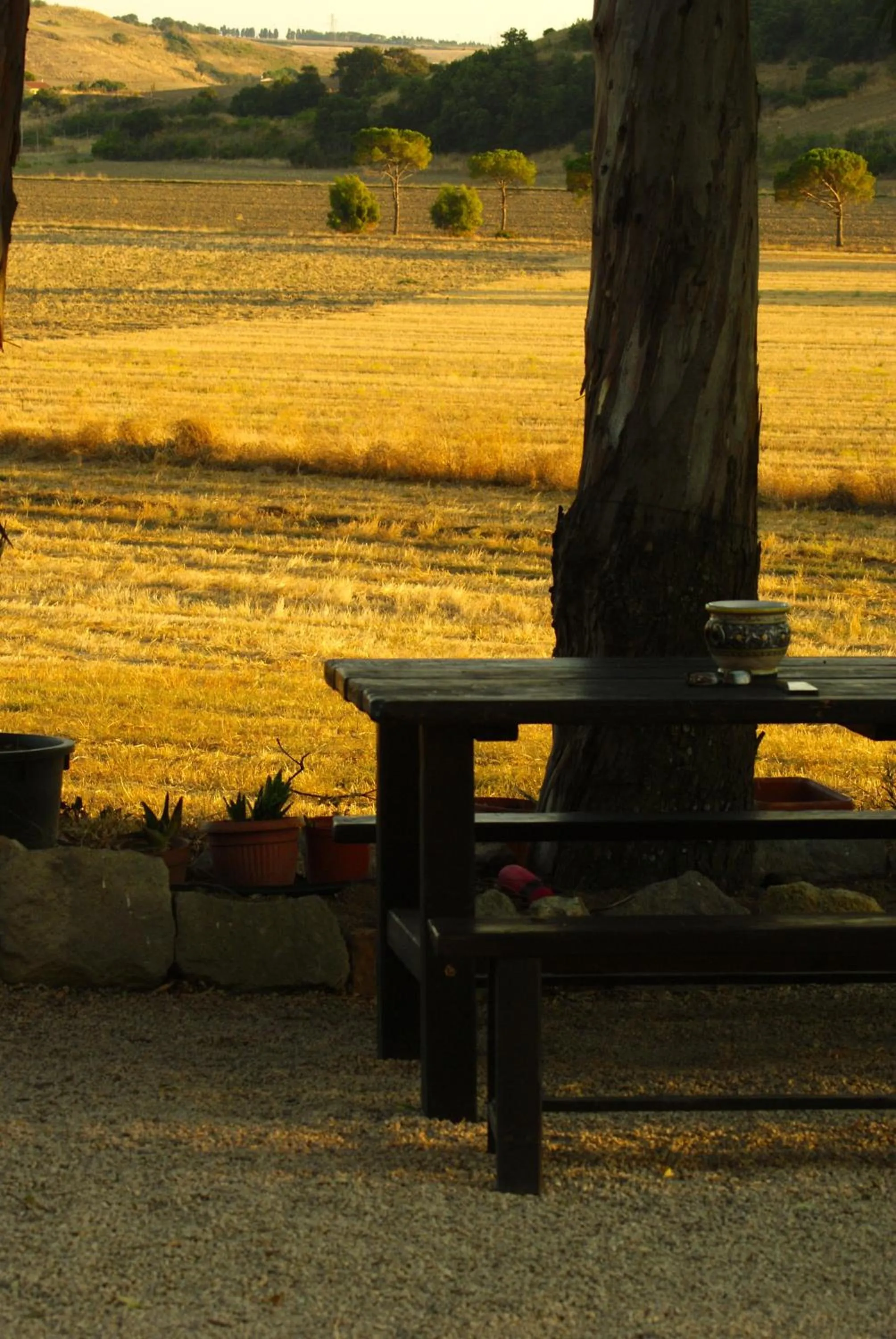 Garden in Locanda Villa Naumanni