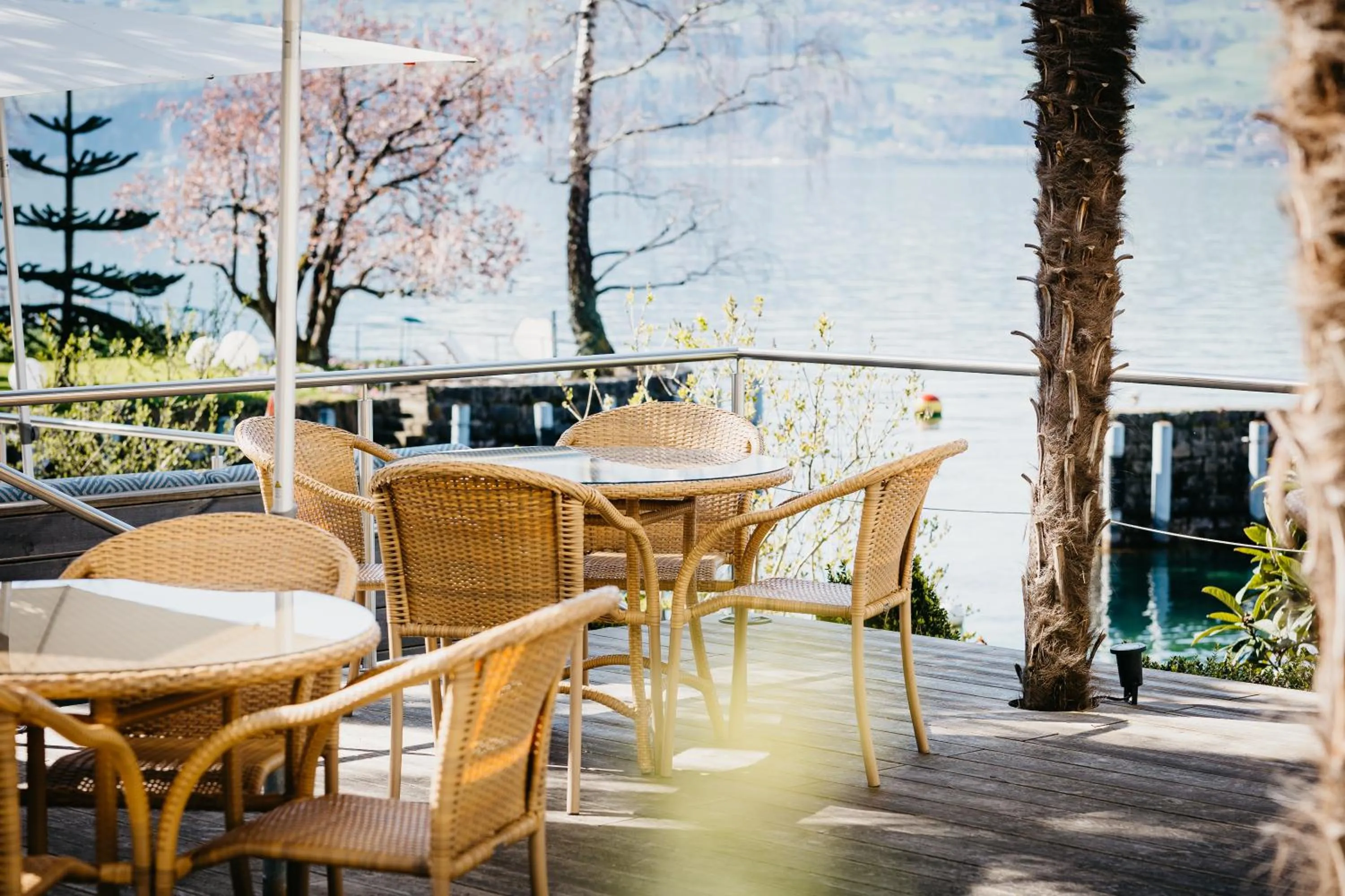 Balcony/Terrace in BEATUS Wellness- & Spa-Hotel