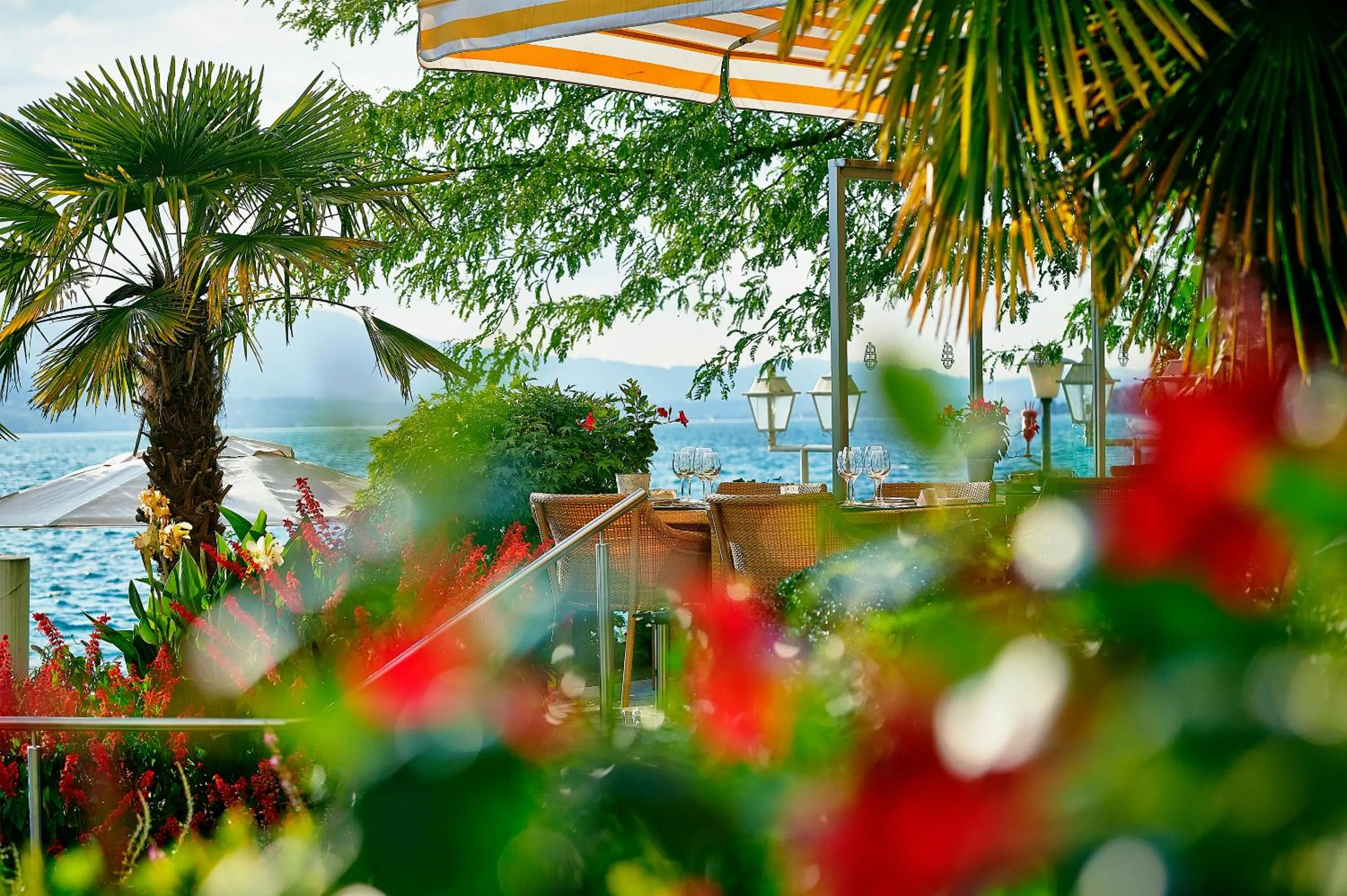 Restaurant/places to eat in BEATUS Wellness- & Spa-Hotel