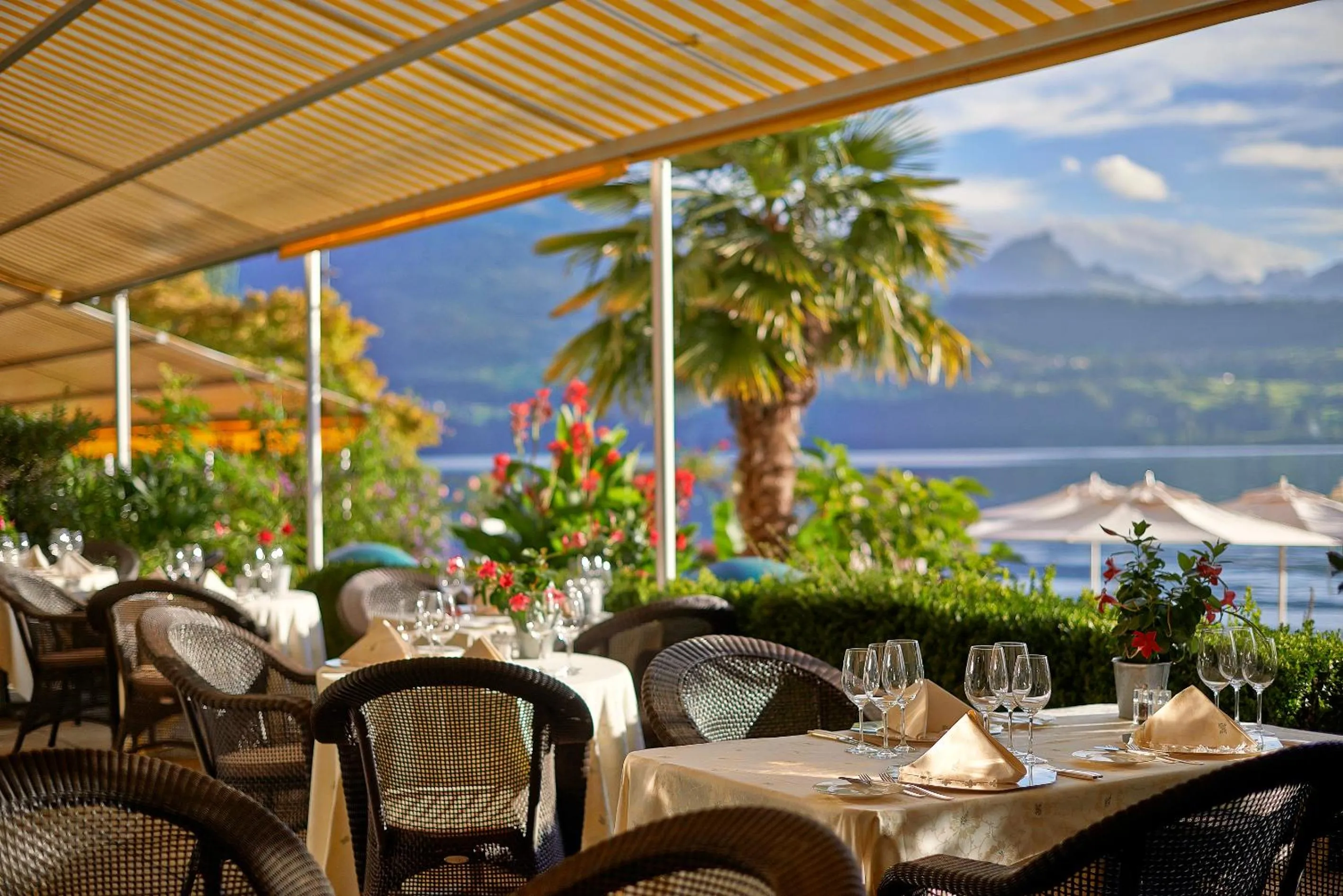 Restaurant/places to eat in BEATUS Wellness- & Spa-Hotel