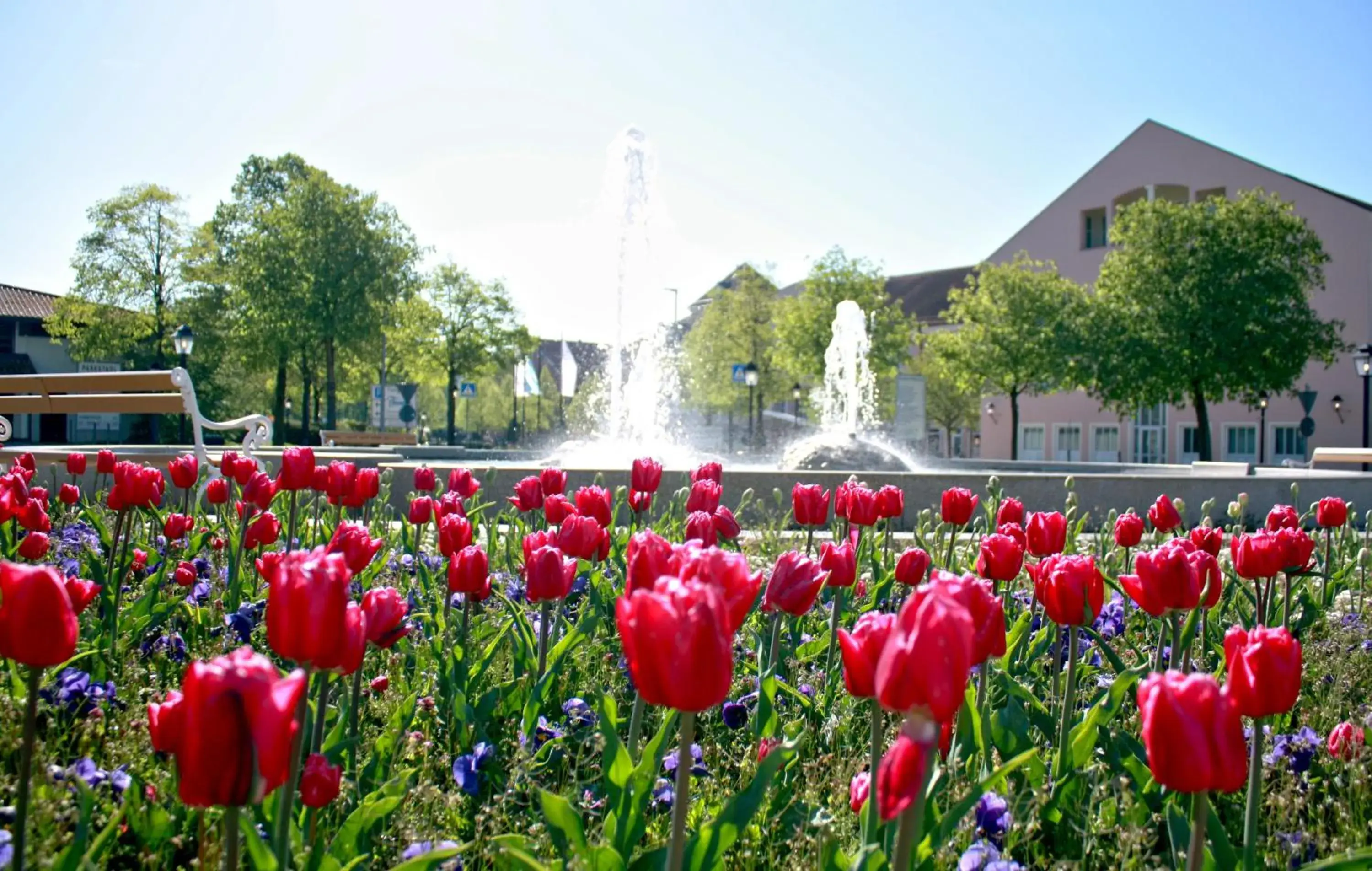 Garden in Hotel Maximilian - Wellness und Golfhotel