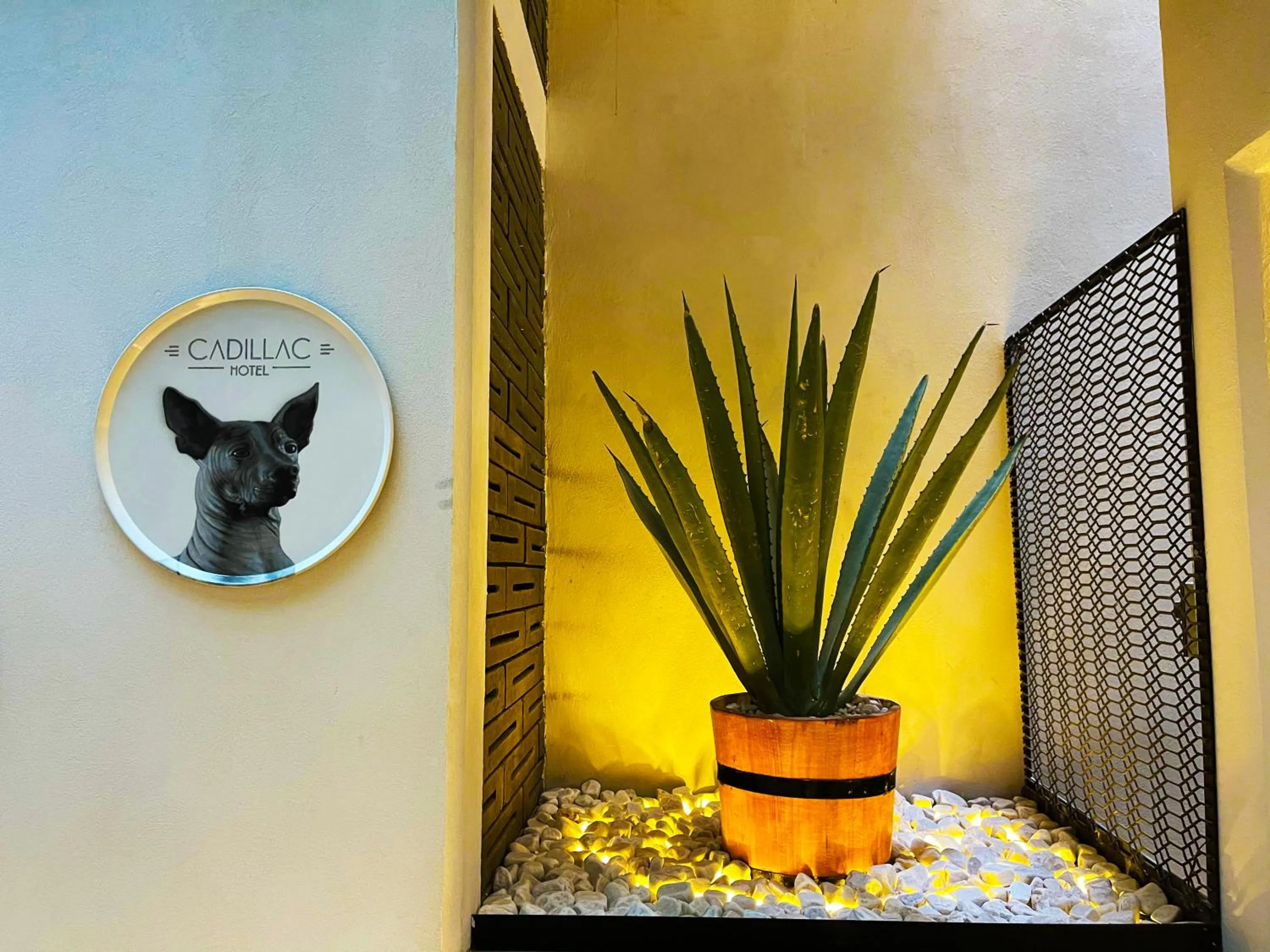 Area and facilities in Cadillac Hotel Boutique