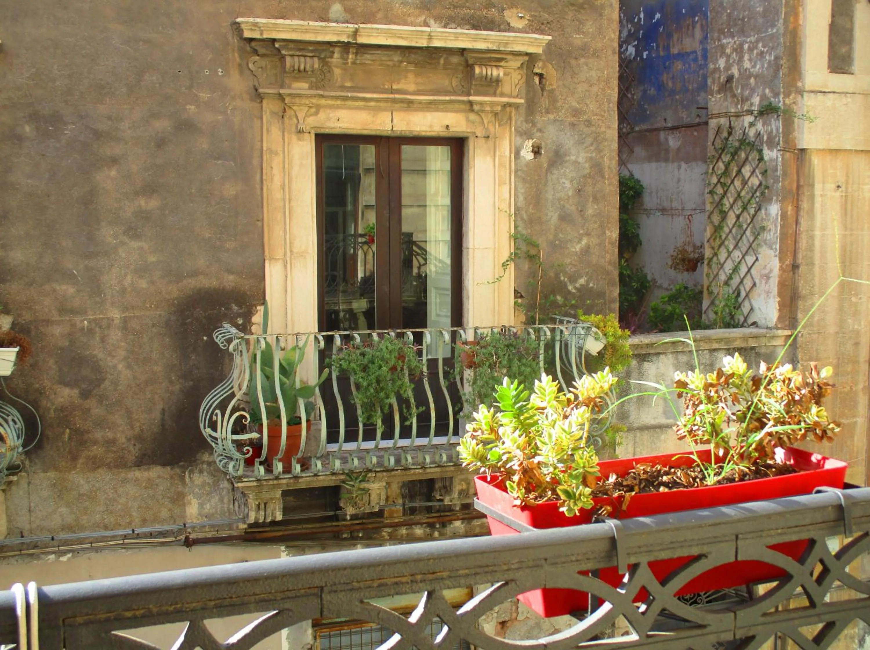 Facade/entrance in Diletta Oasi