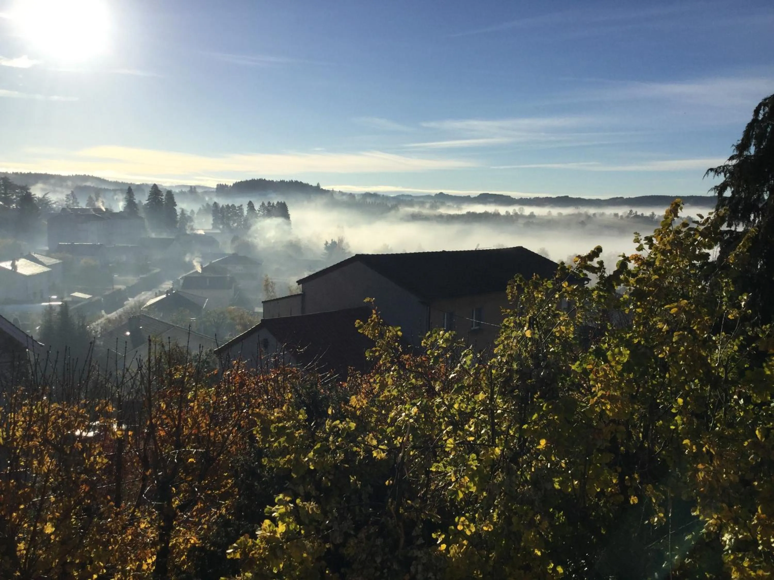 Autumn in gîte Les Marronniers