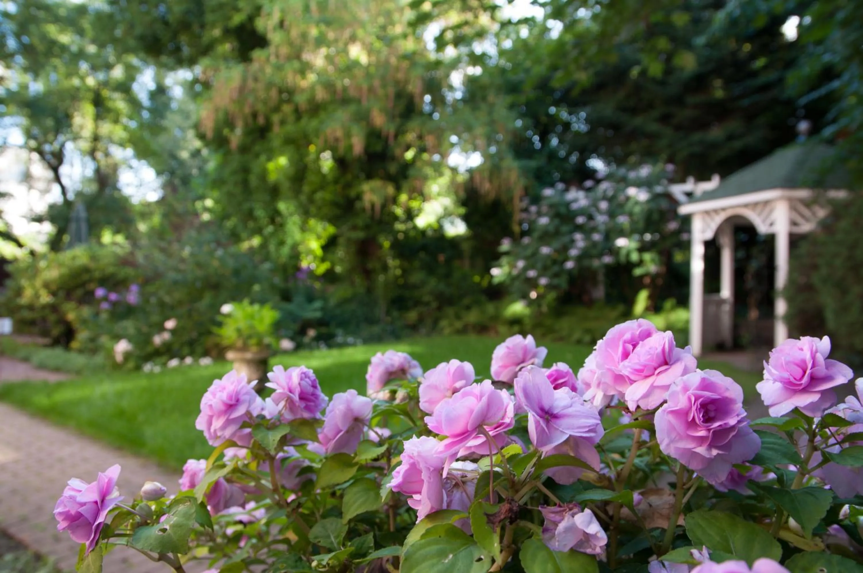 Garden in von Deska Townhouses - Ivy House
