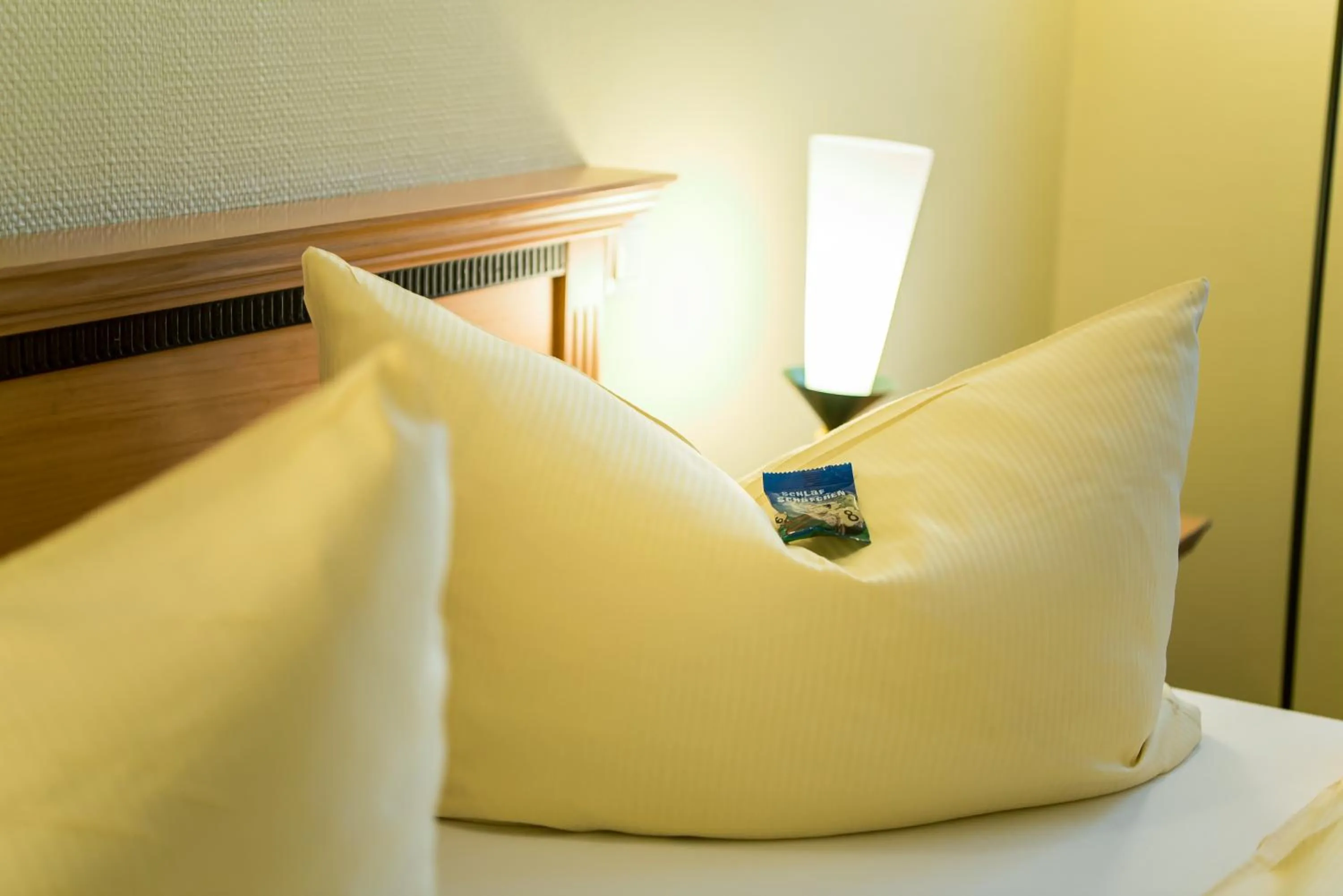 Decorative detail, Bed in Ringhotel Dreiländereck Zittau