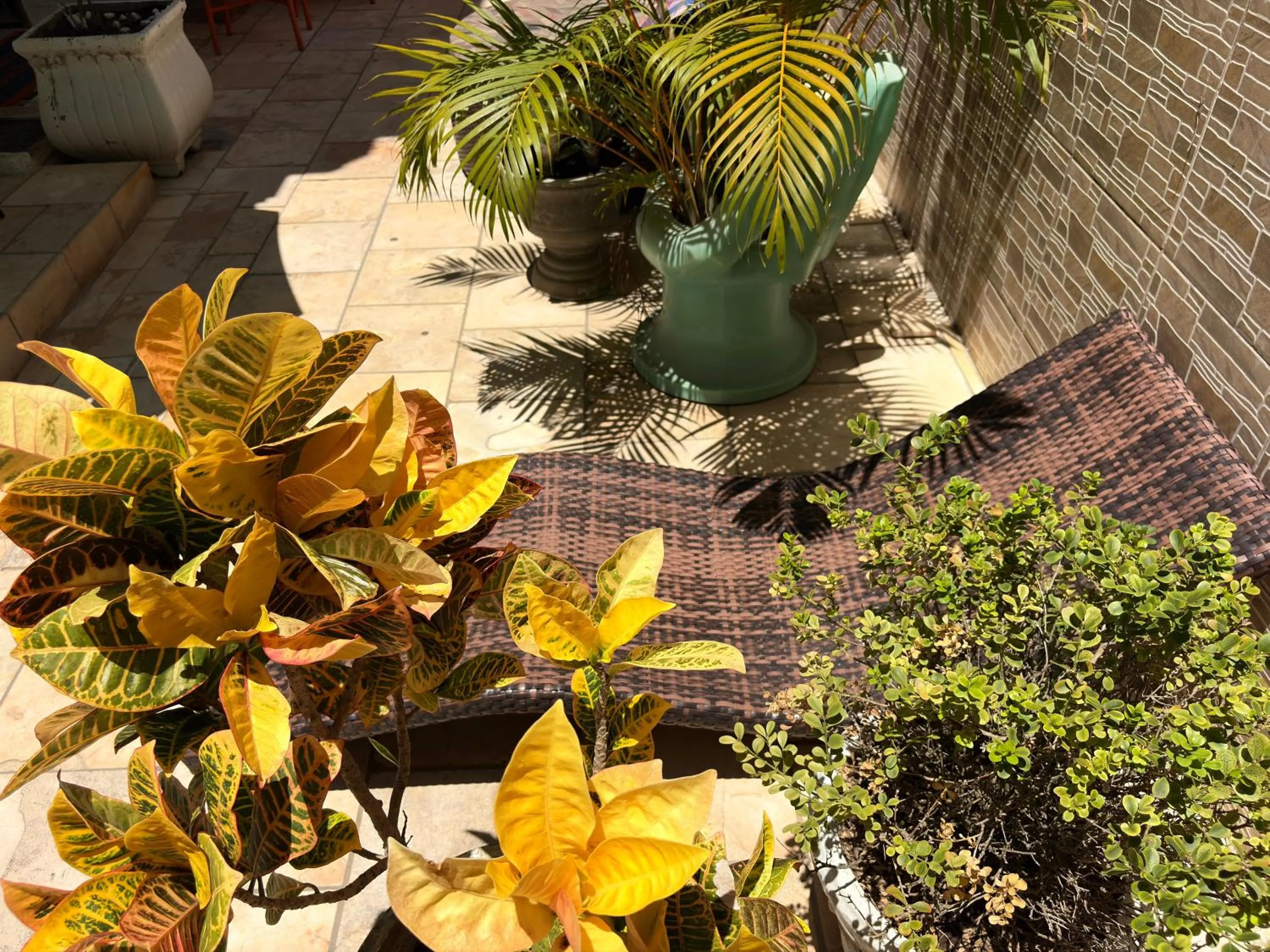 Garden in Pousada Residência dos Sonhos