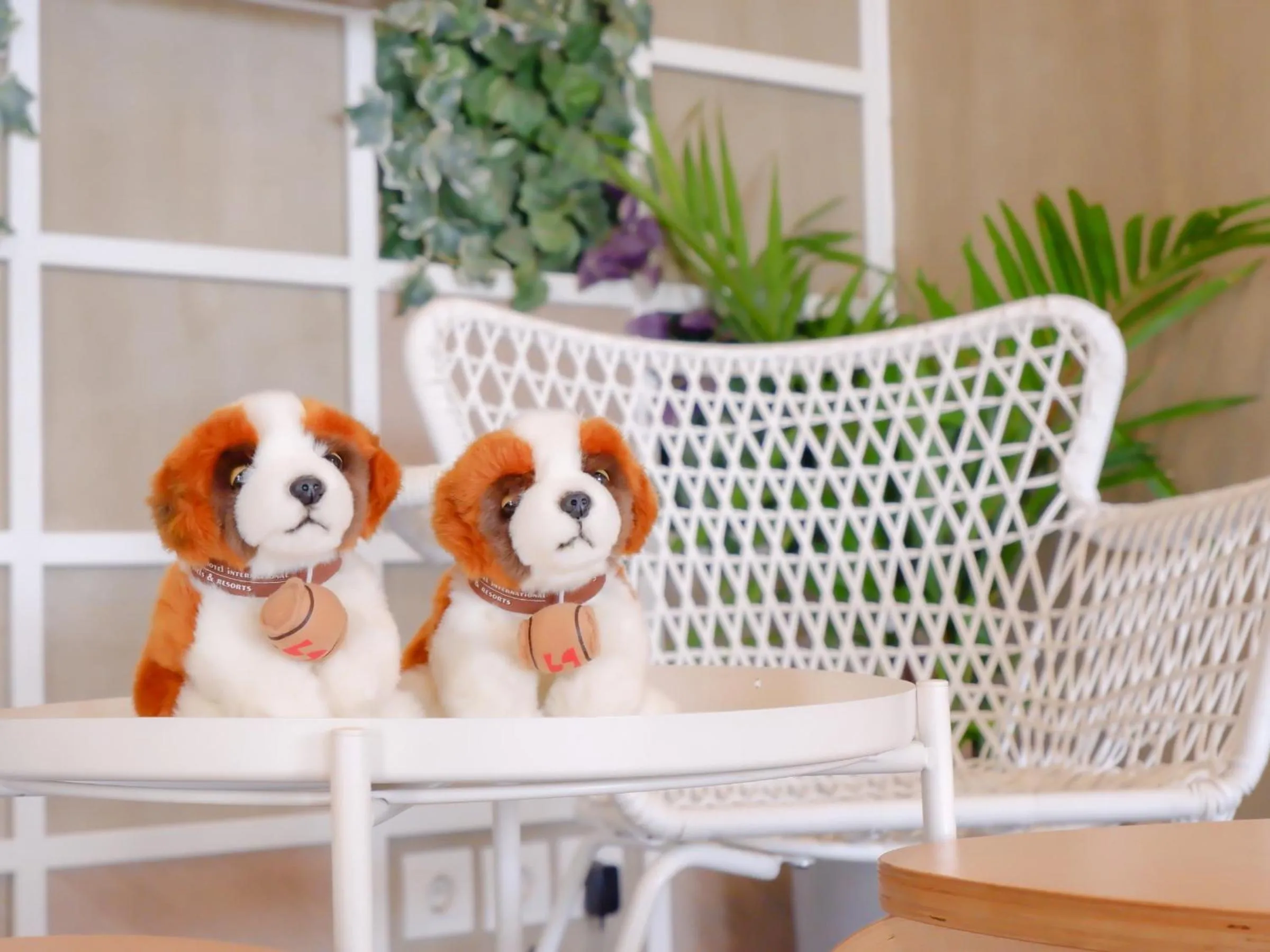 Other in Swiss-Belexpress Cilegon