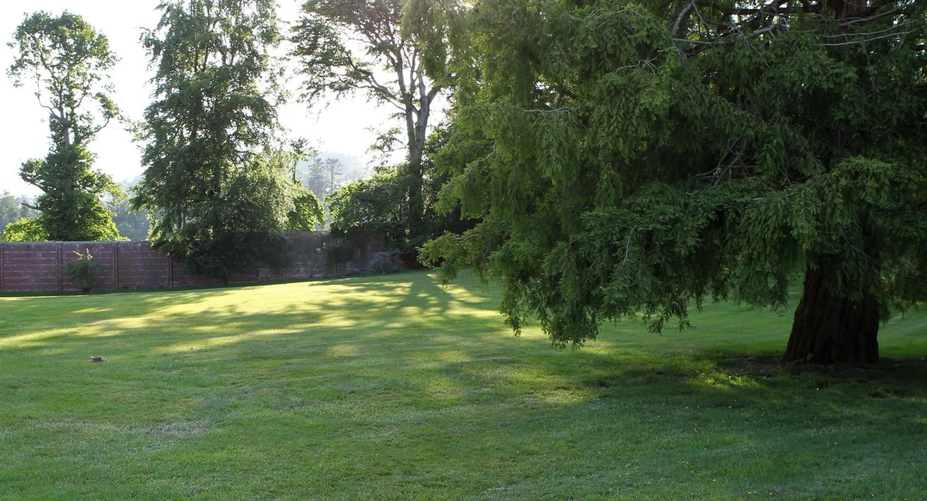 Garden in Kirklands House Melrose Bed and Breakfast