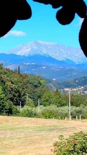 Dimora BOUQUET & GOURMET