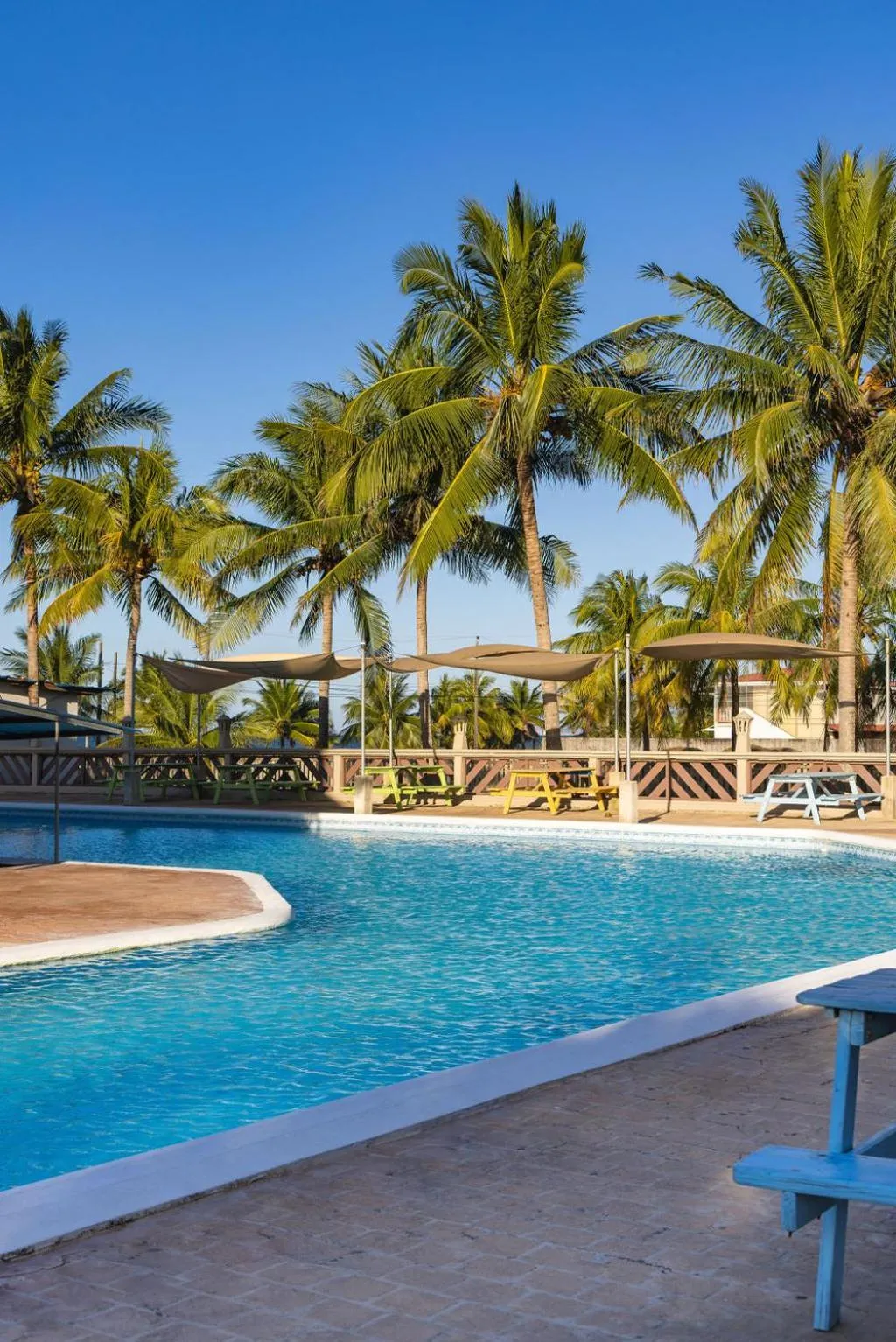 Pool view in Hotel Palmazul - Viña del Mar