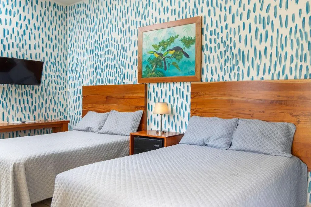 Photo of the whole room, Bed in Hotel Palmazul - Viña del Mar