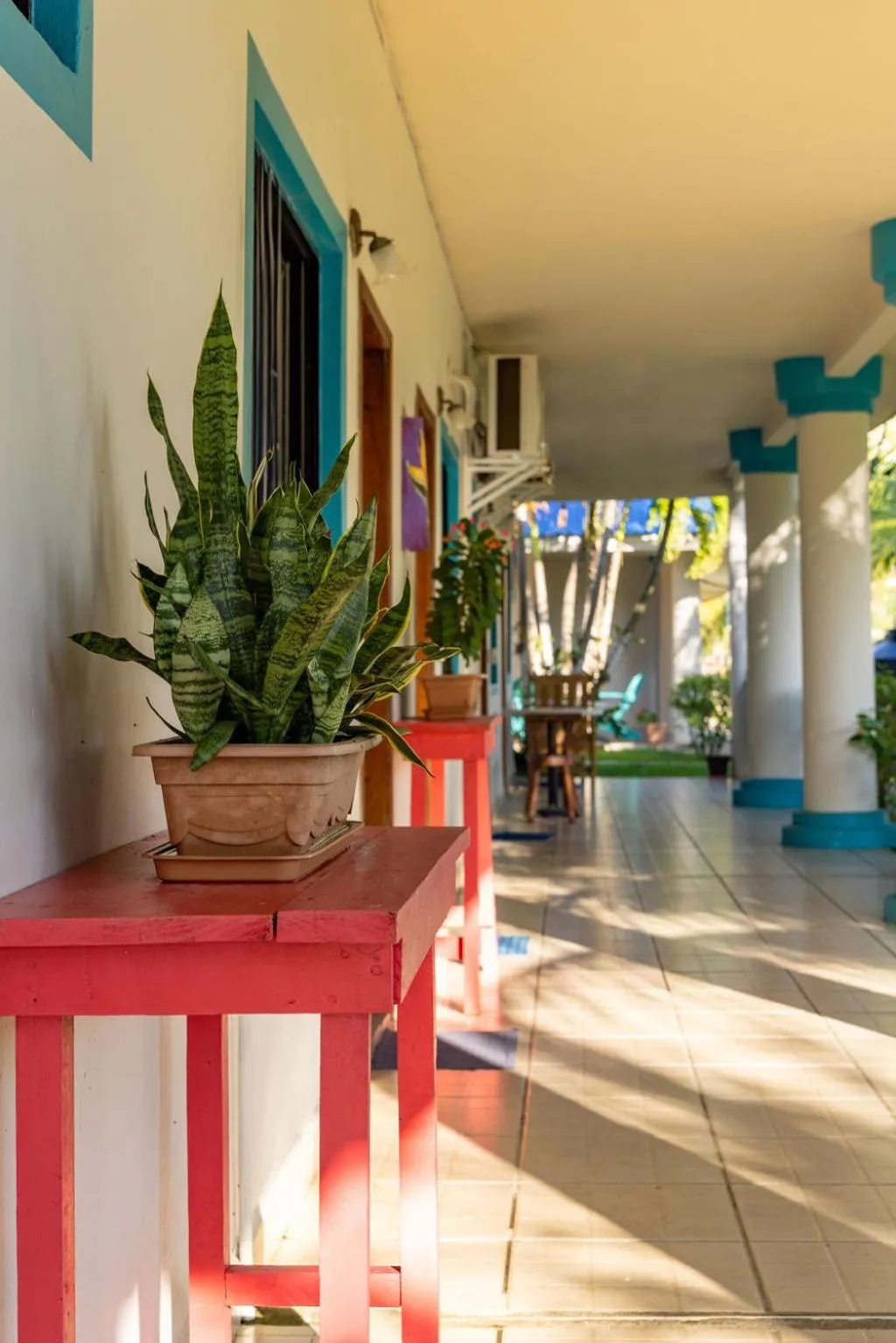 Garden in Hotel Palmazul - Viña del Mar