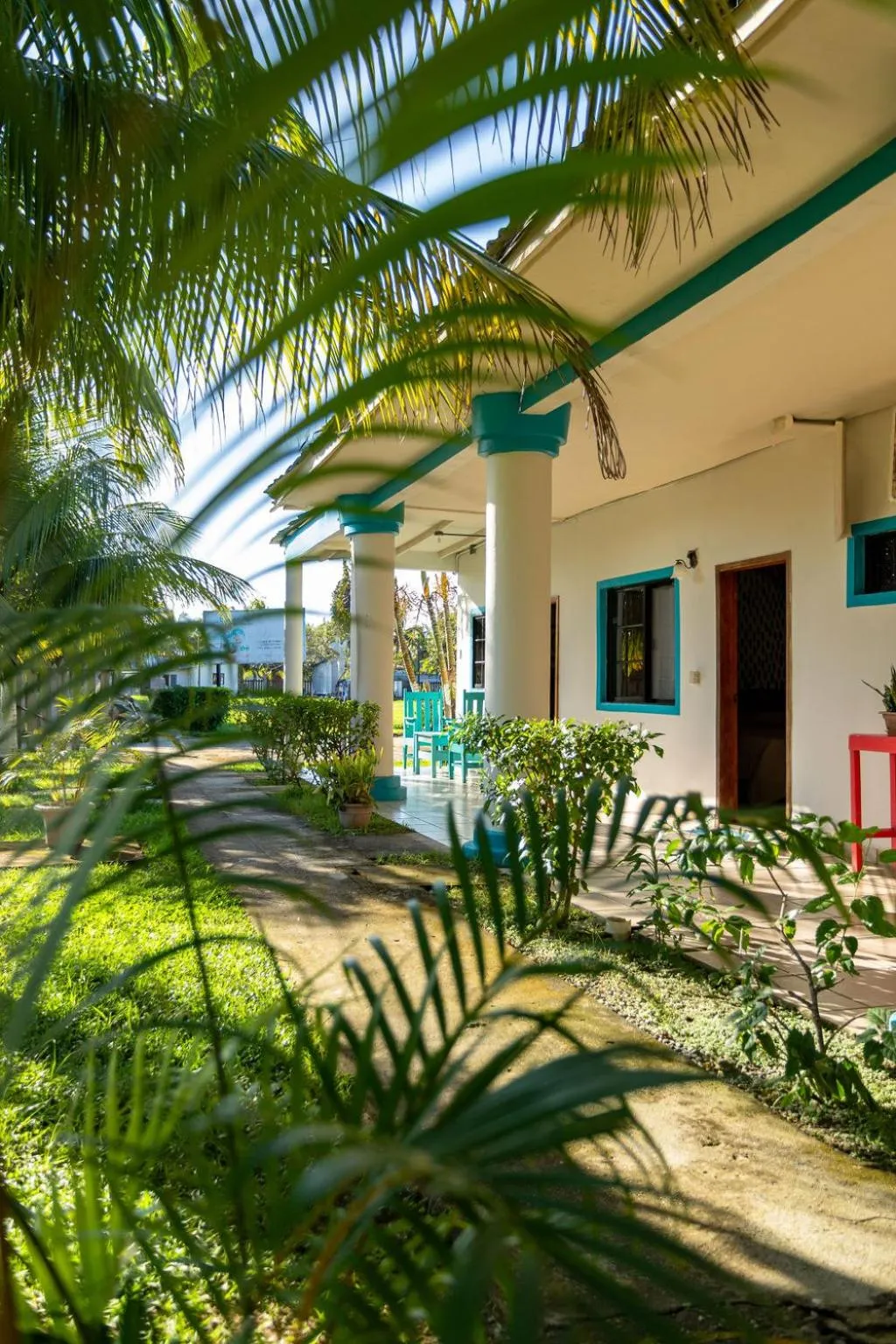 Garden view in Hotel Palmazul - Viña del Mar