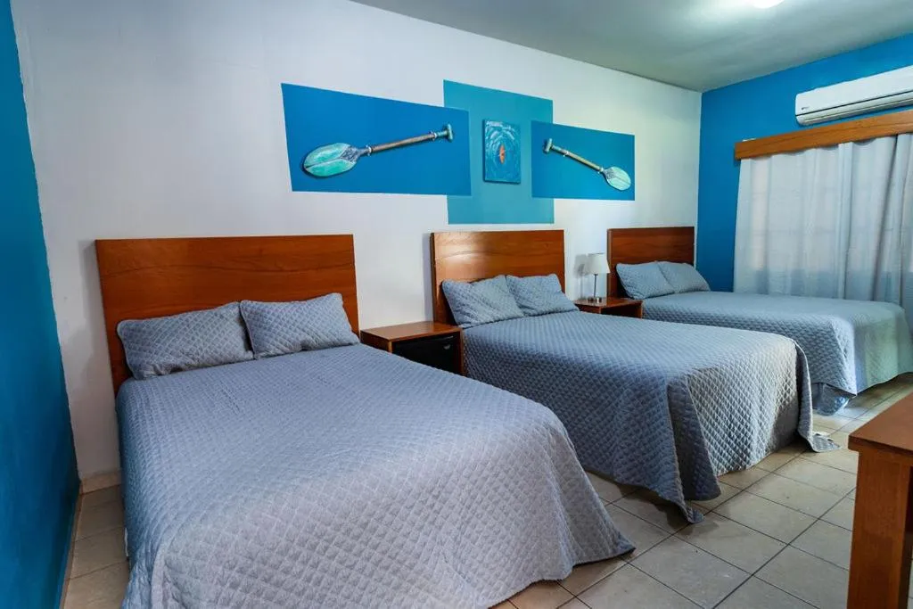 Photo of the whole room, Bed in Hotel Palmazul - Viña del Mar