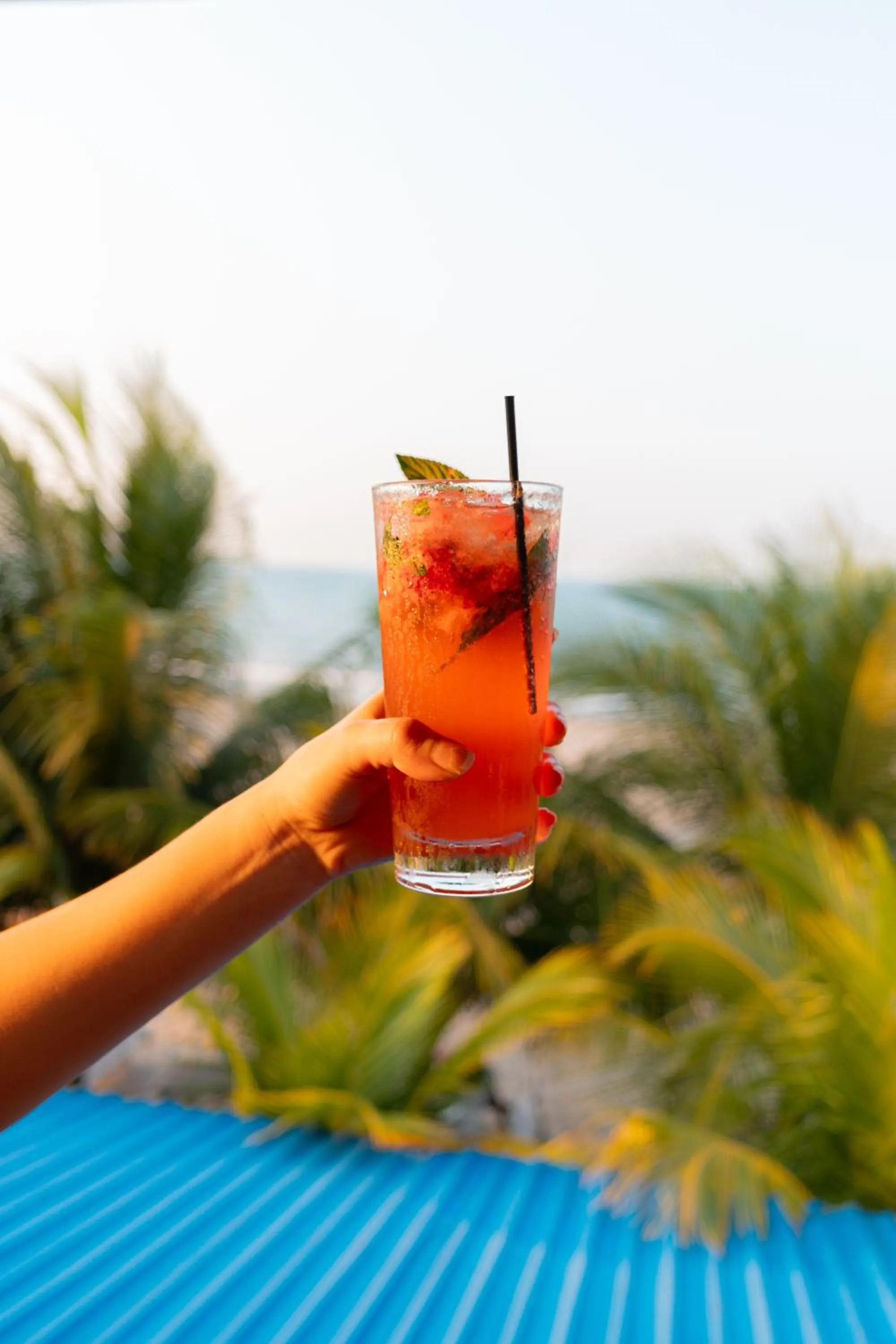 Food and drinks in Hotel Palmazul - Viña del Mar