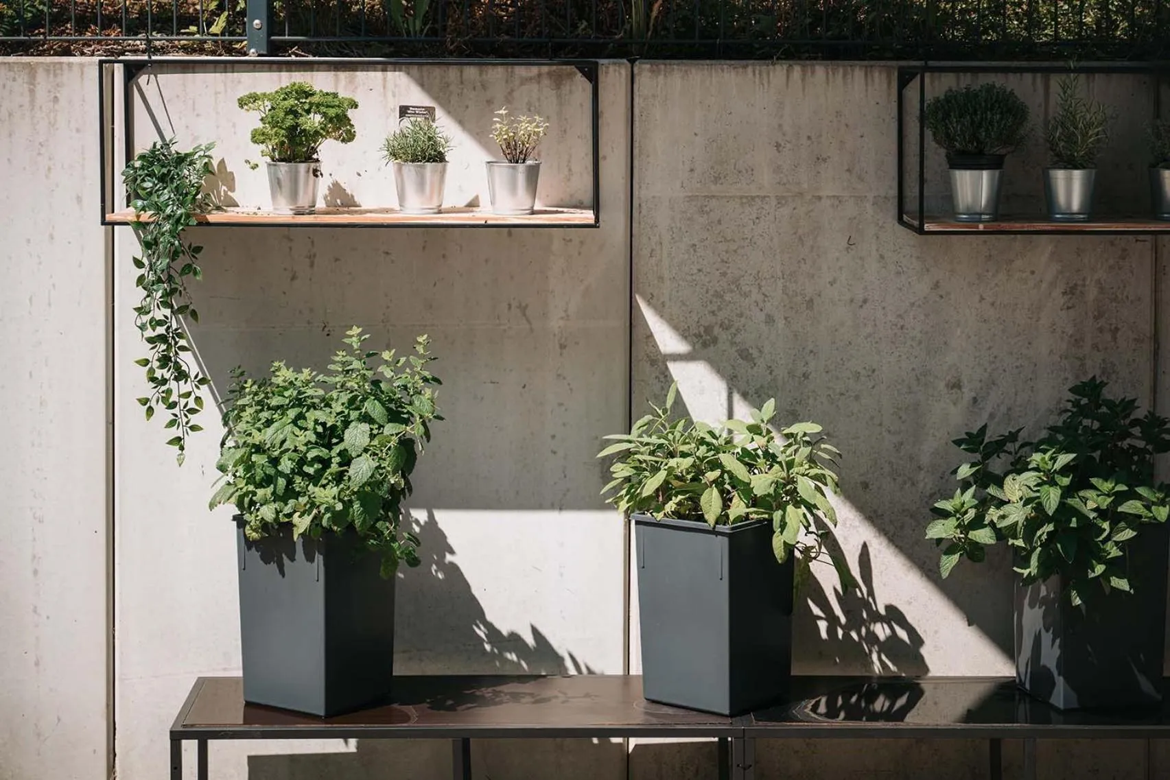 Property building in Coffee Fellows Hotel & Longstay