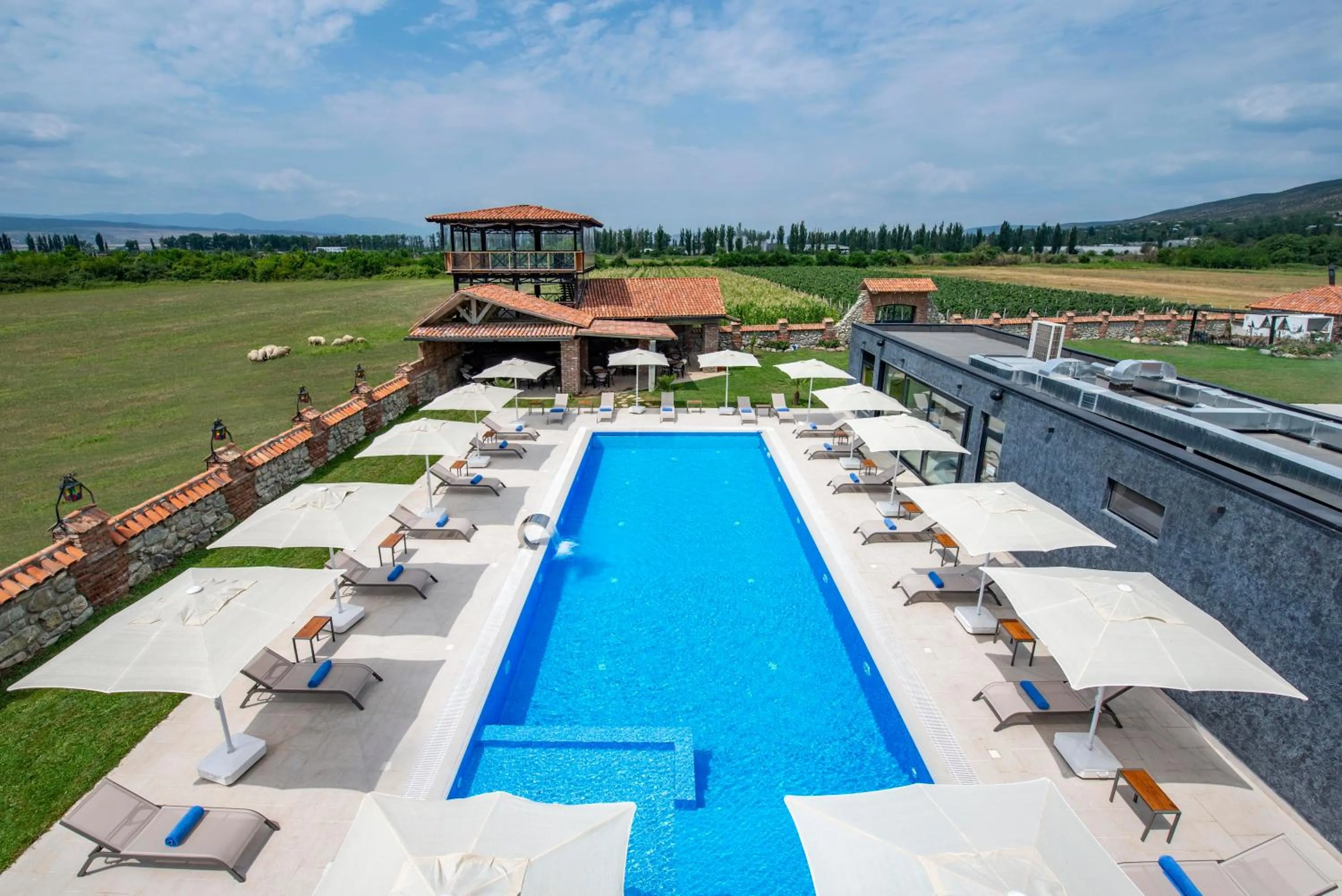 Swimming pool in Villa Mosavali
