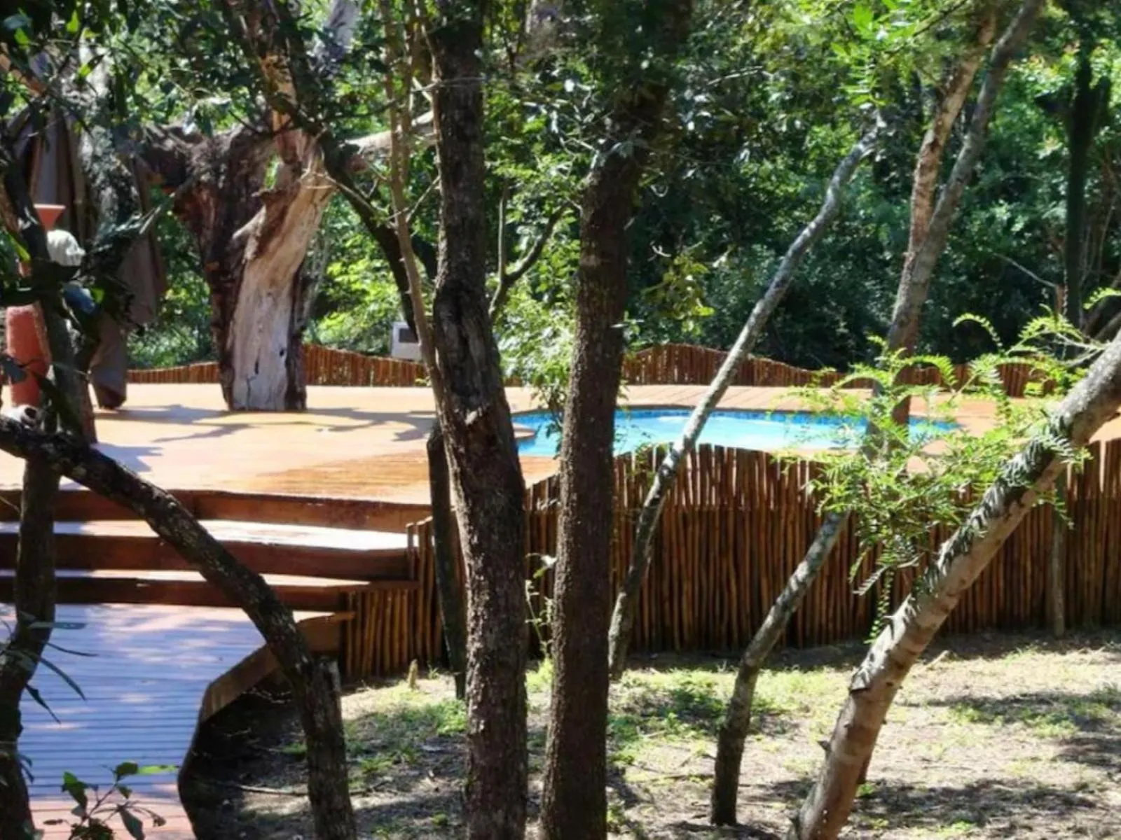 Pool view in Ihlozi Bush Lodge