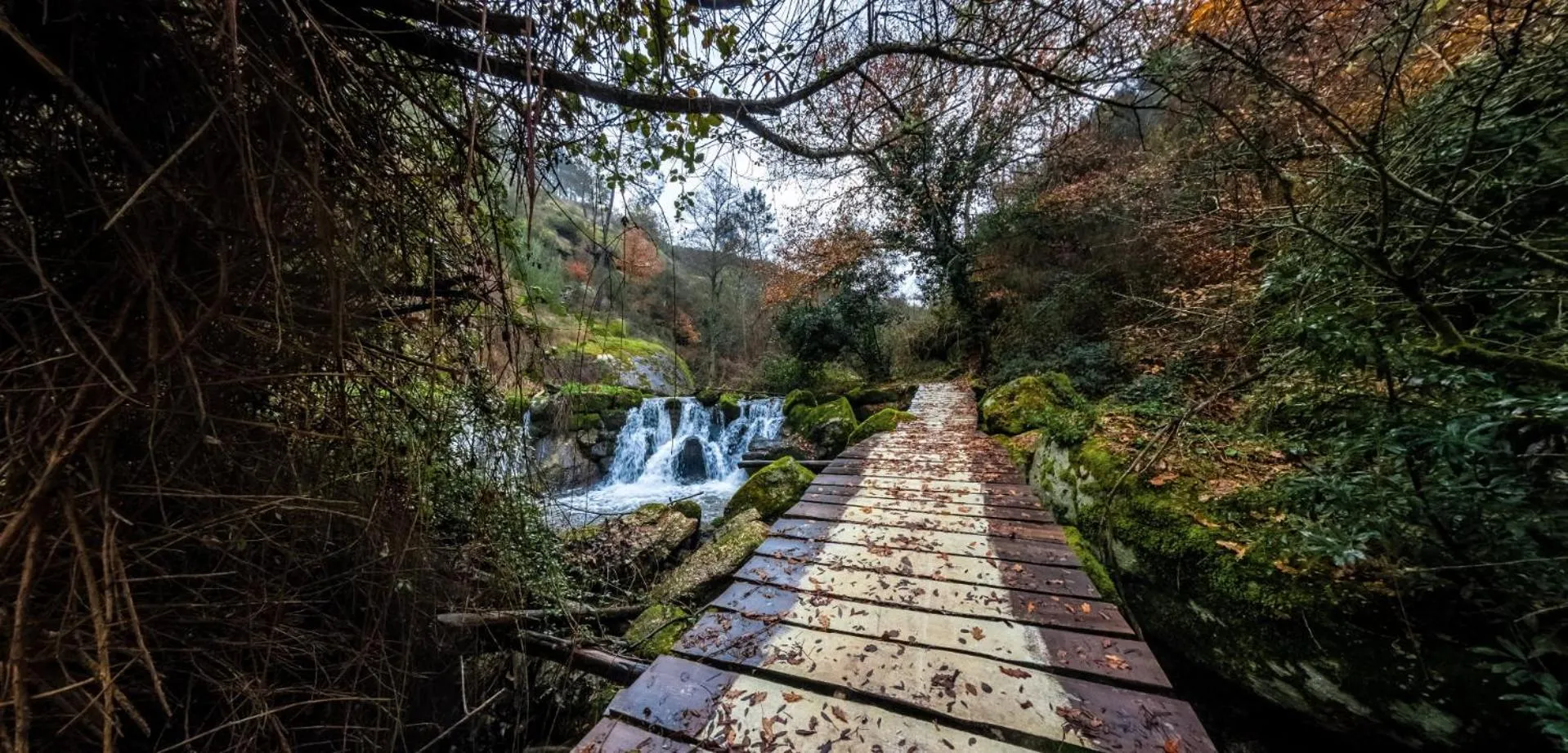 Natural landscape in Luna Hotel de Tábua