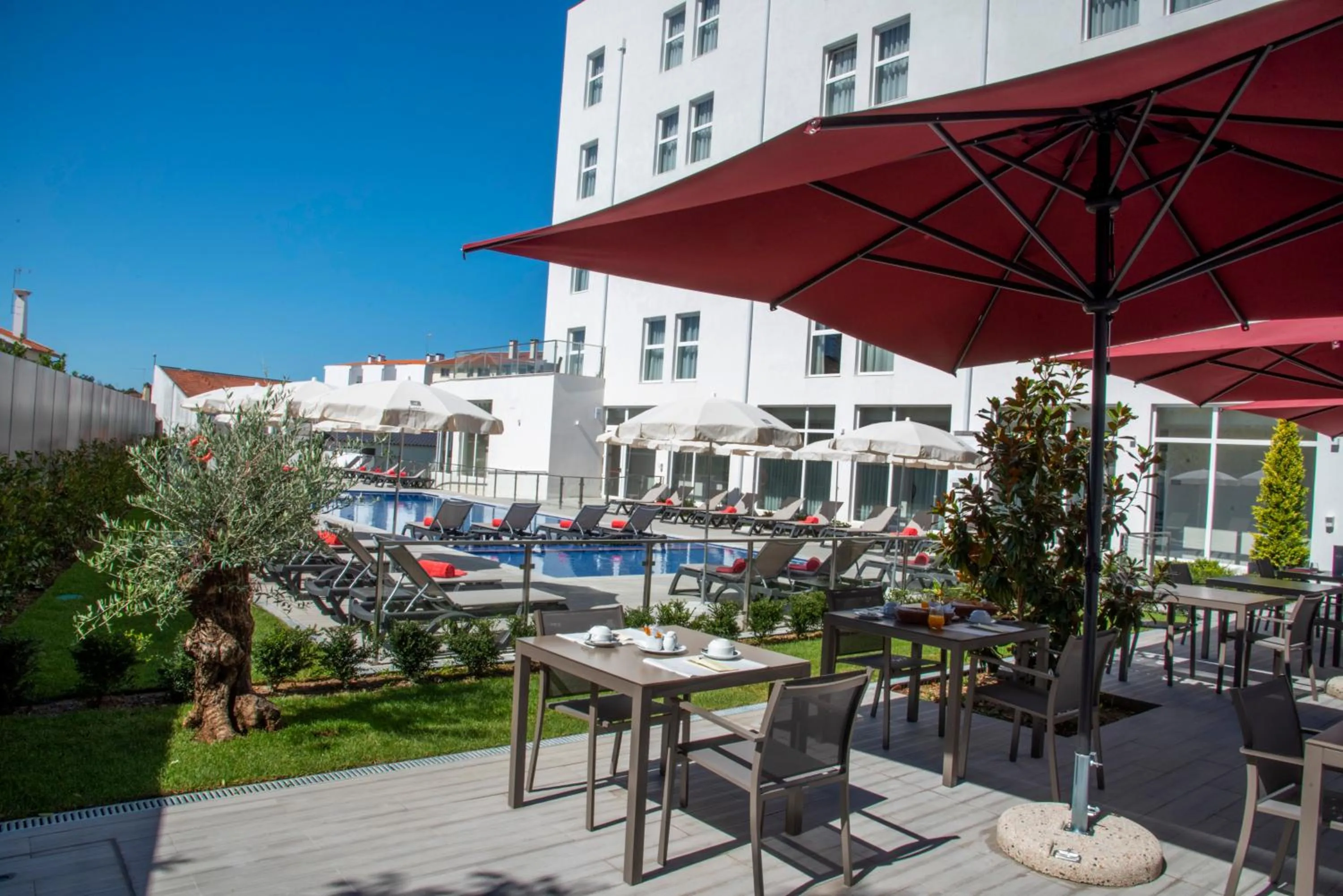 Swimming pool in Luna Hotel de Tábua