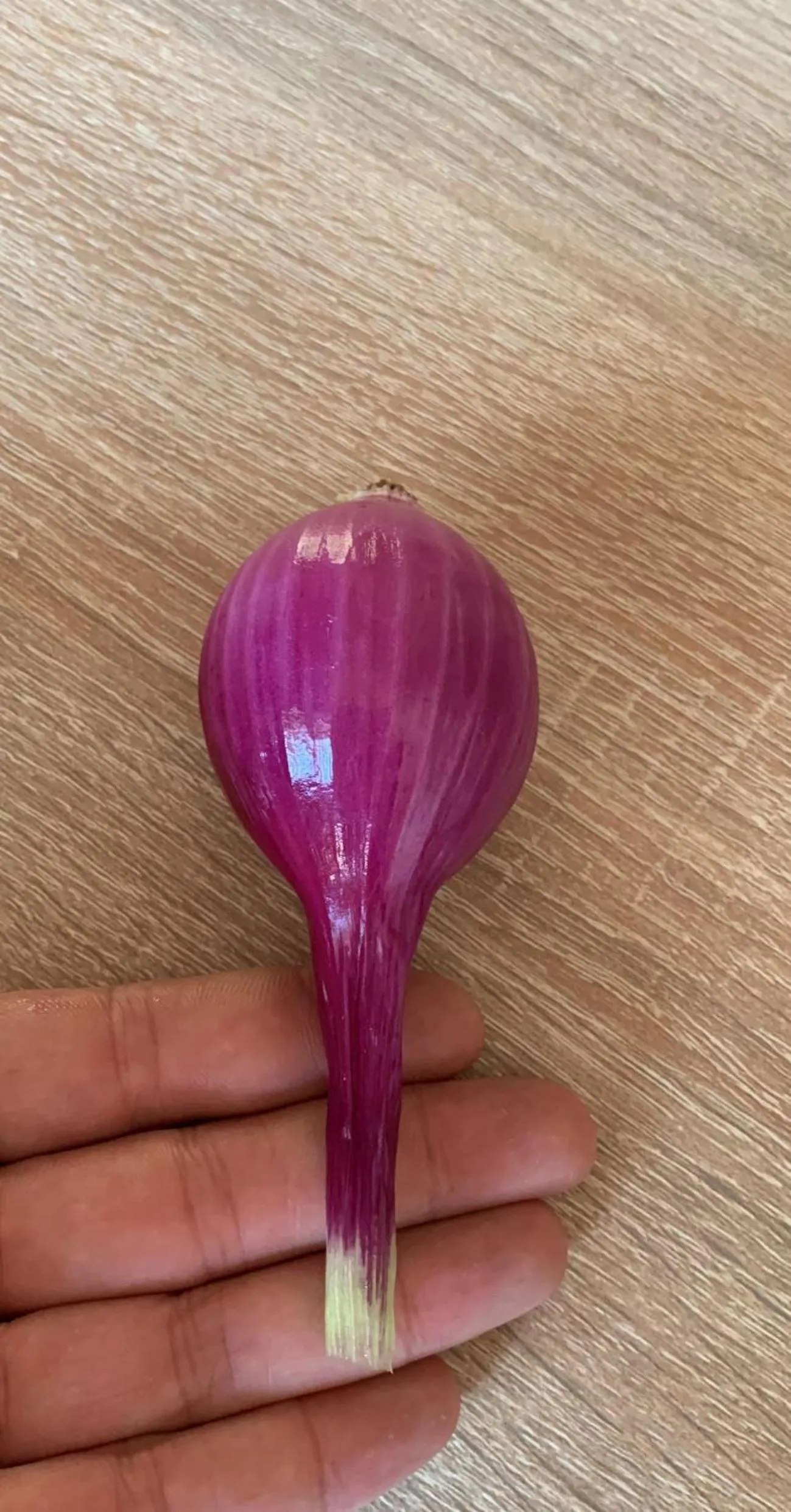 Food close-up in B&B Iolì Vesuvio