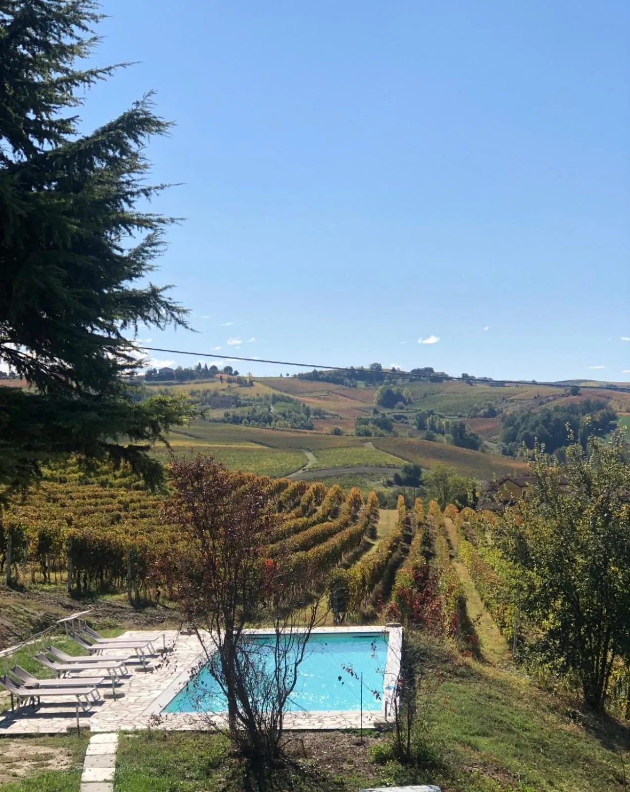 Swimming pool in Allegro Holiday