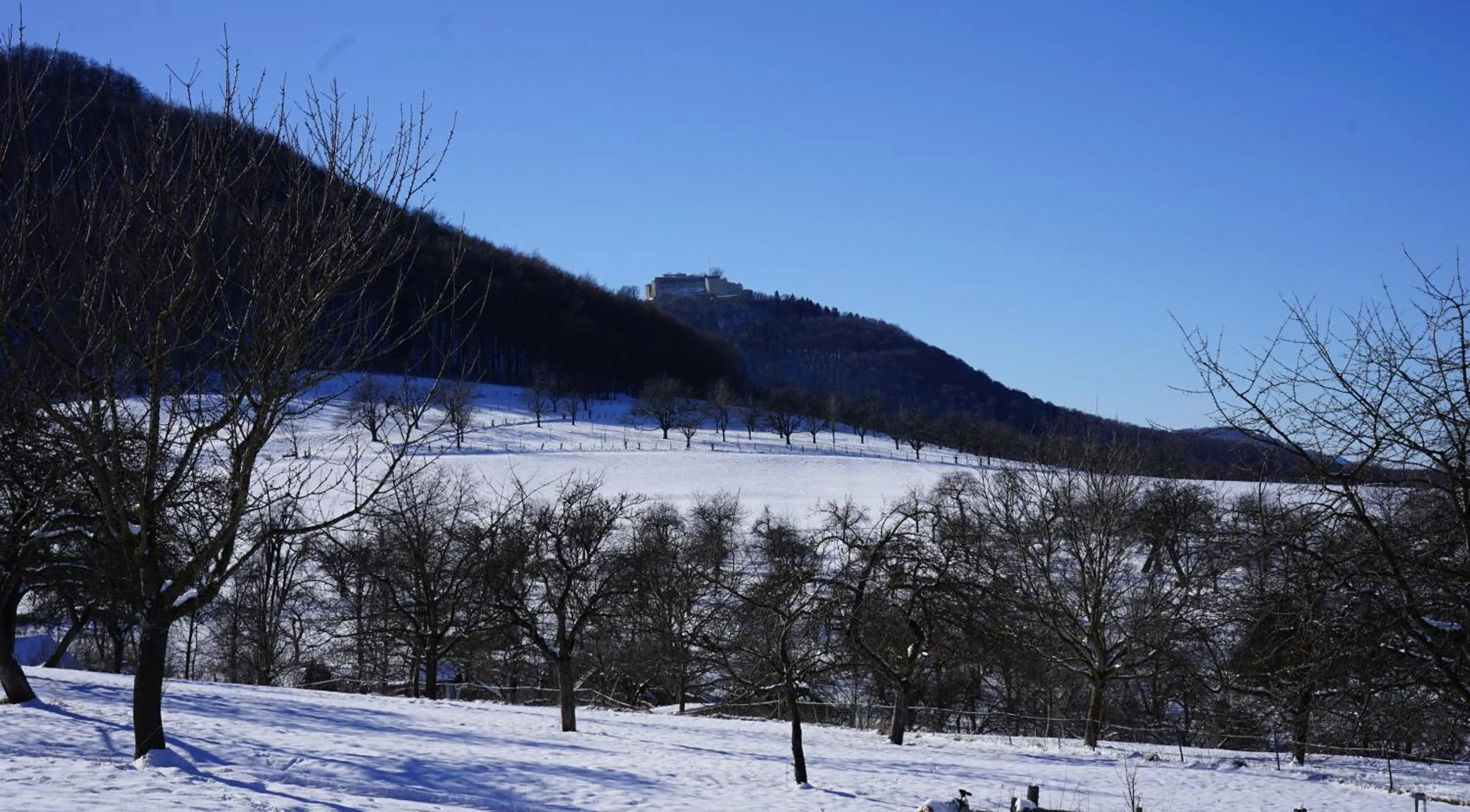 View (from property/room) in Beurener Hof
