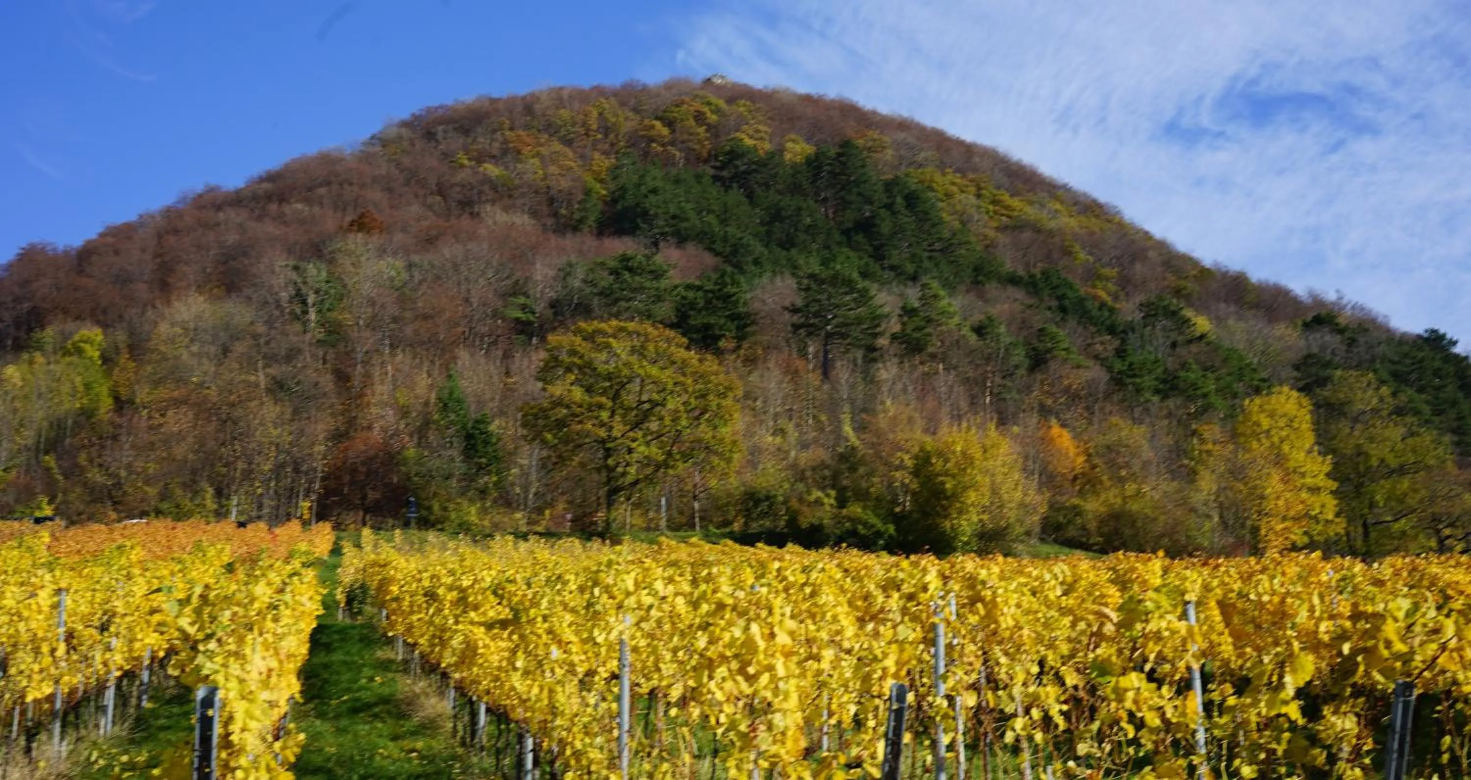 Off site in Beurener Hof