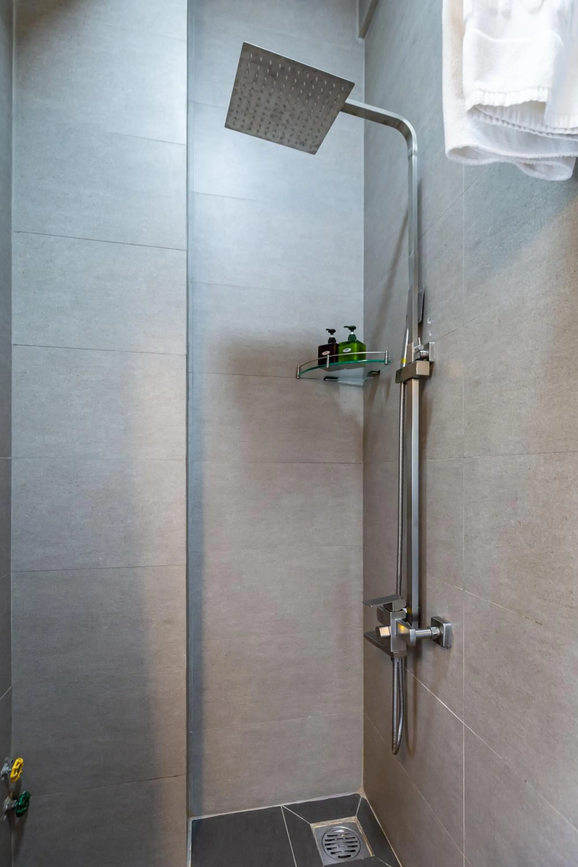 Shower in Cozy Riverview of Livinginn