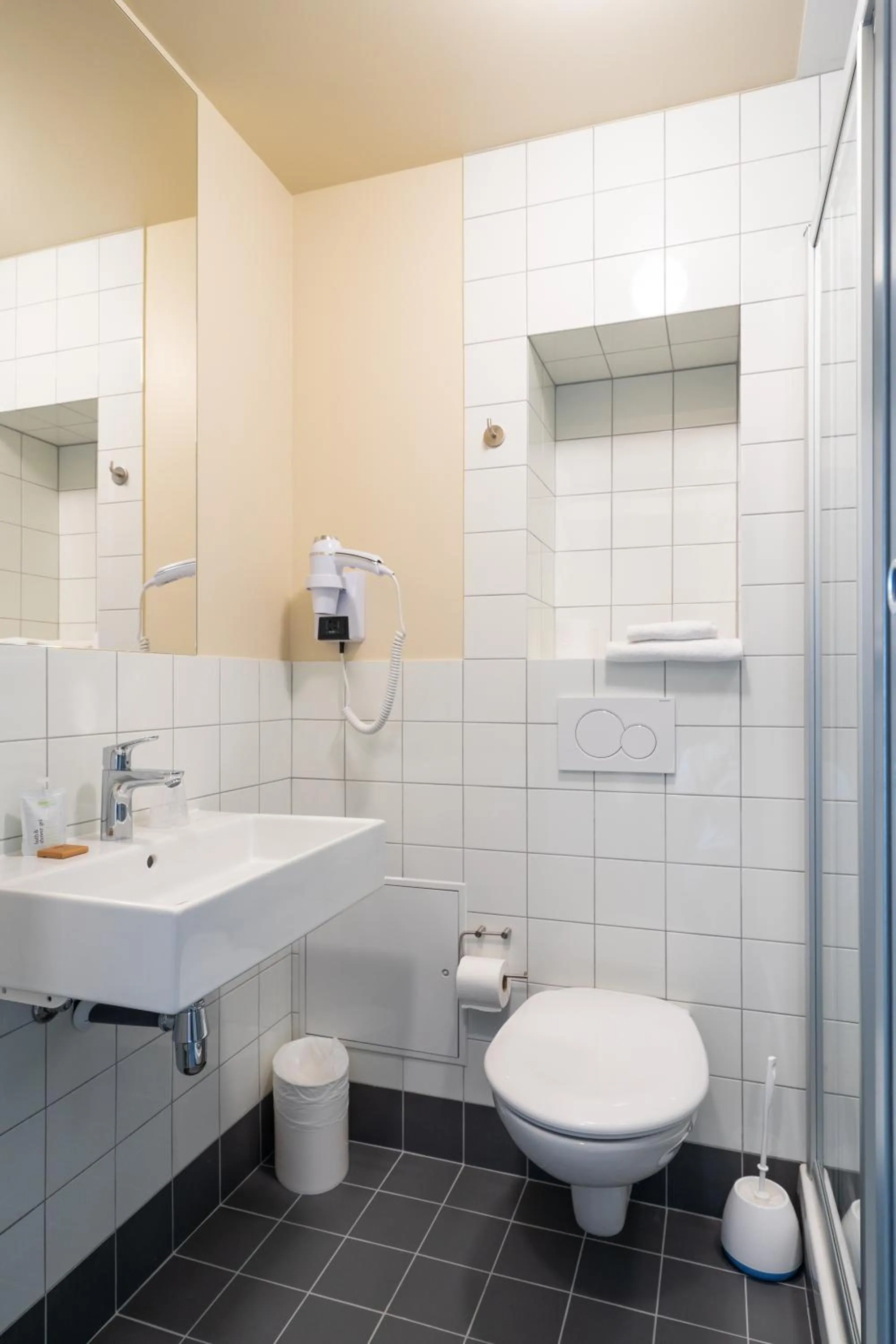 Toilet in FIAP Paris