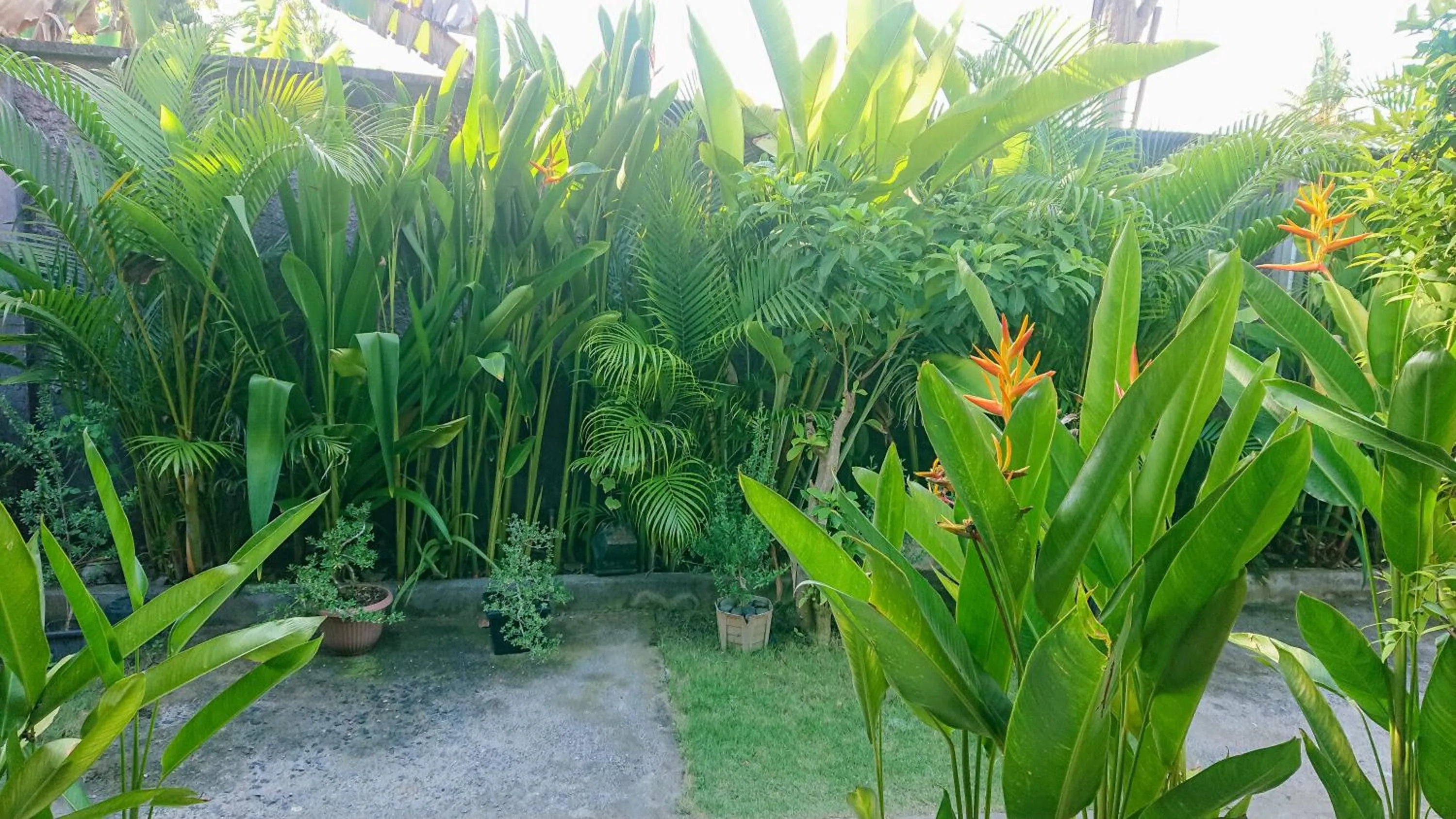 The Cozy Bidara Nusa Penida