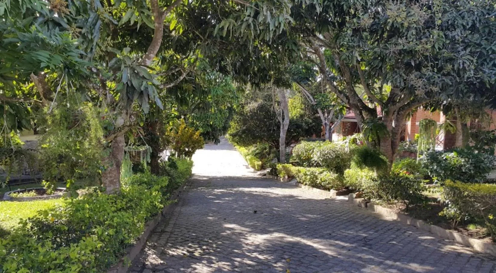 Natural landscape in Alvorada Hotel Garanhuns