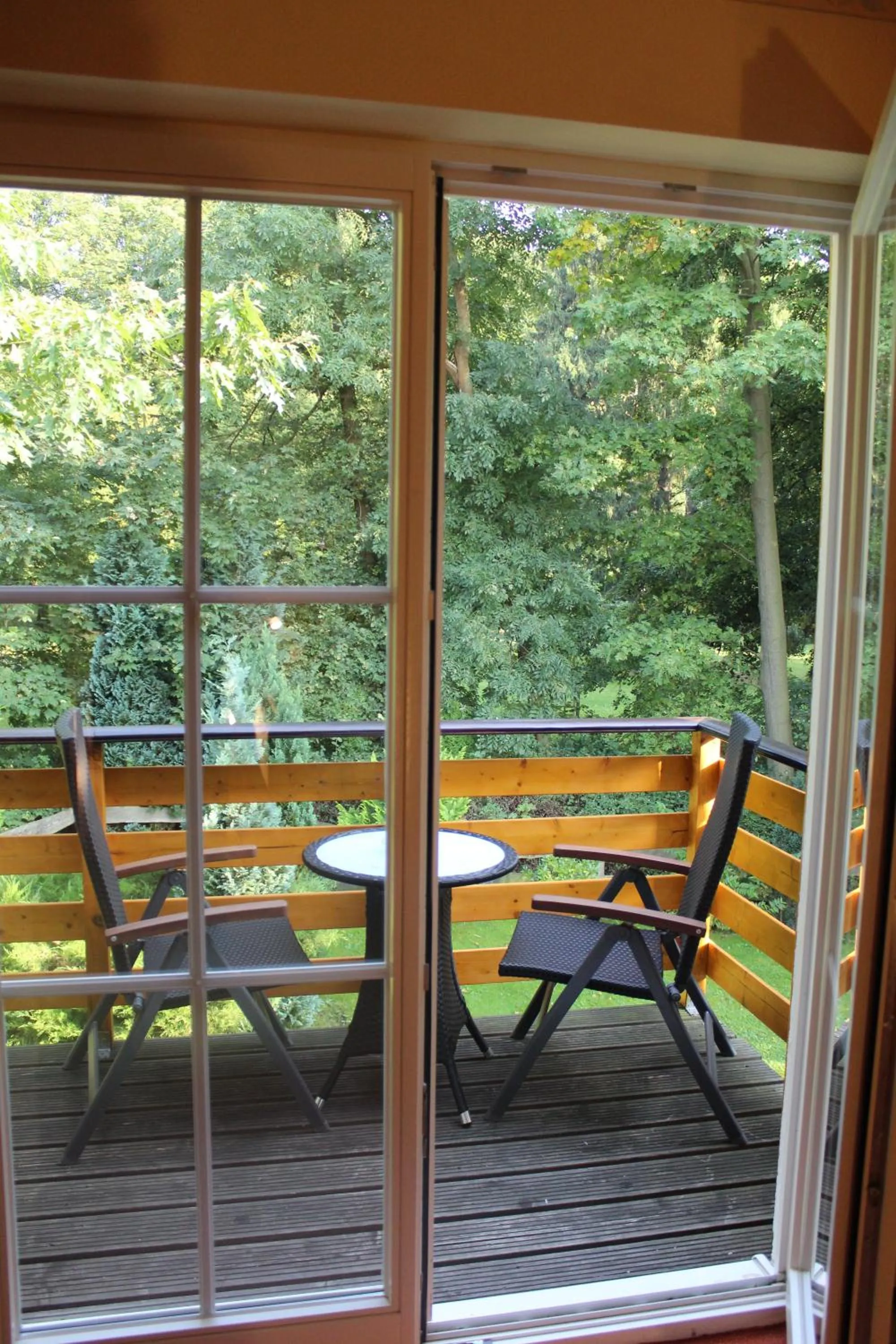 Balcony/Terrace in Parkhotel Klüschenberg