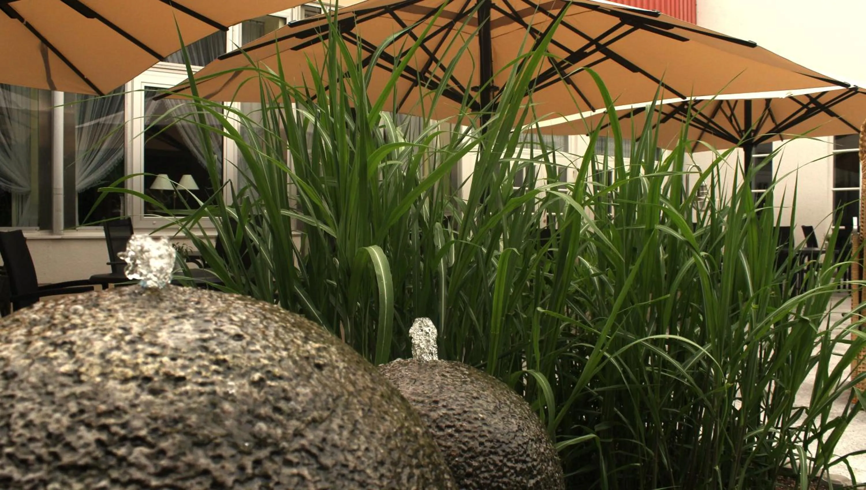 Garden in Parkhotel Klüschenberg