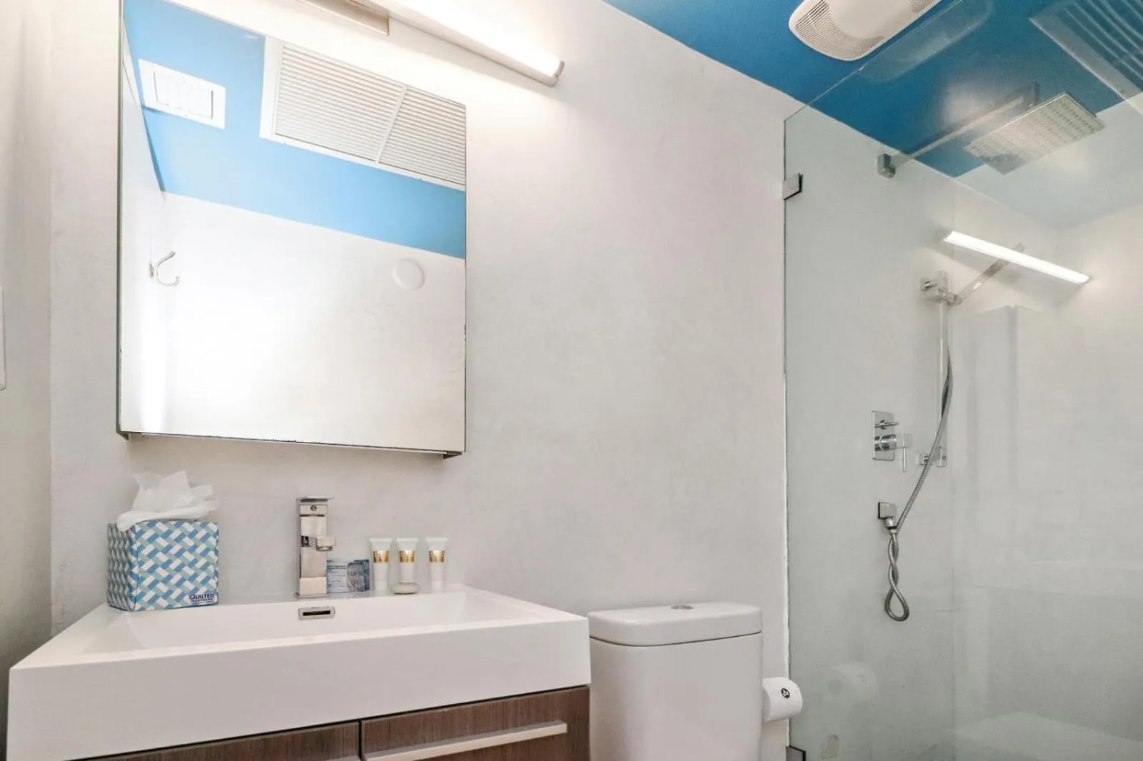 Bathroom in Roami at 250 Collins